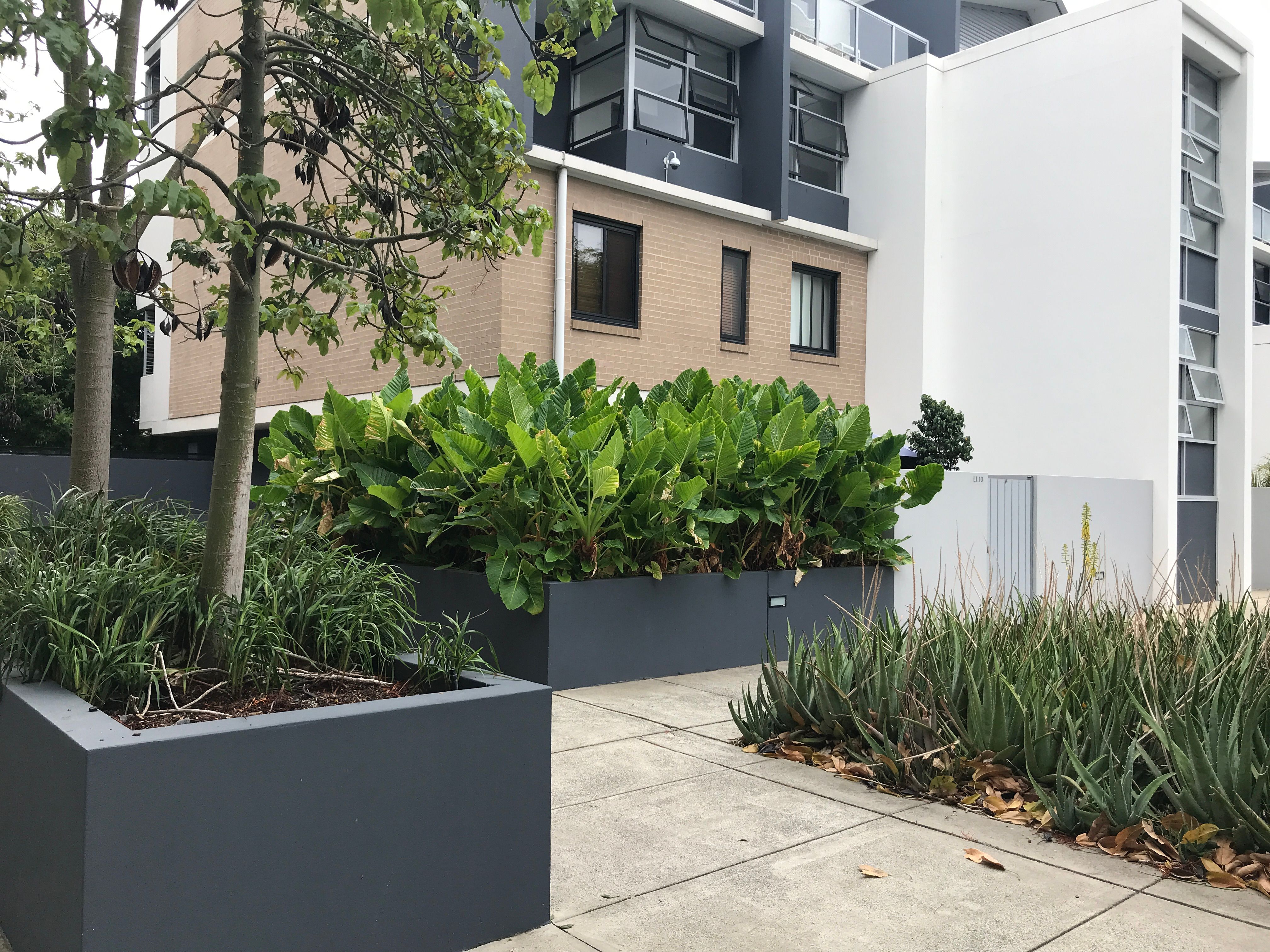 CG05/8 Loveridge Street, ALEXANDRIA, NSW 2015
