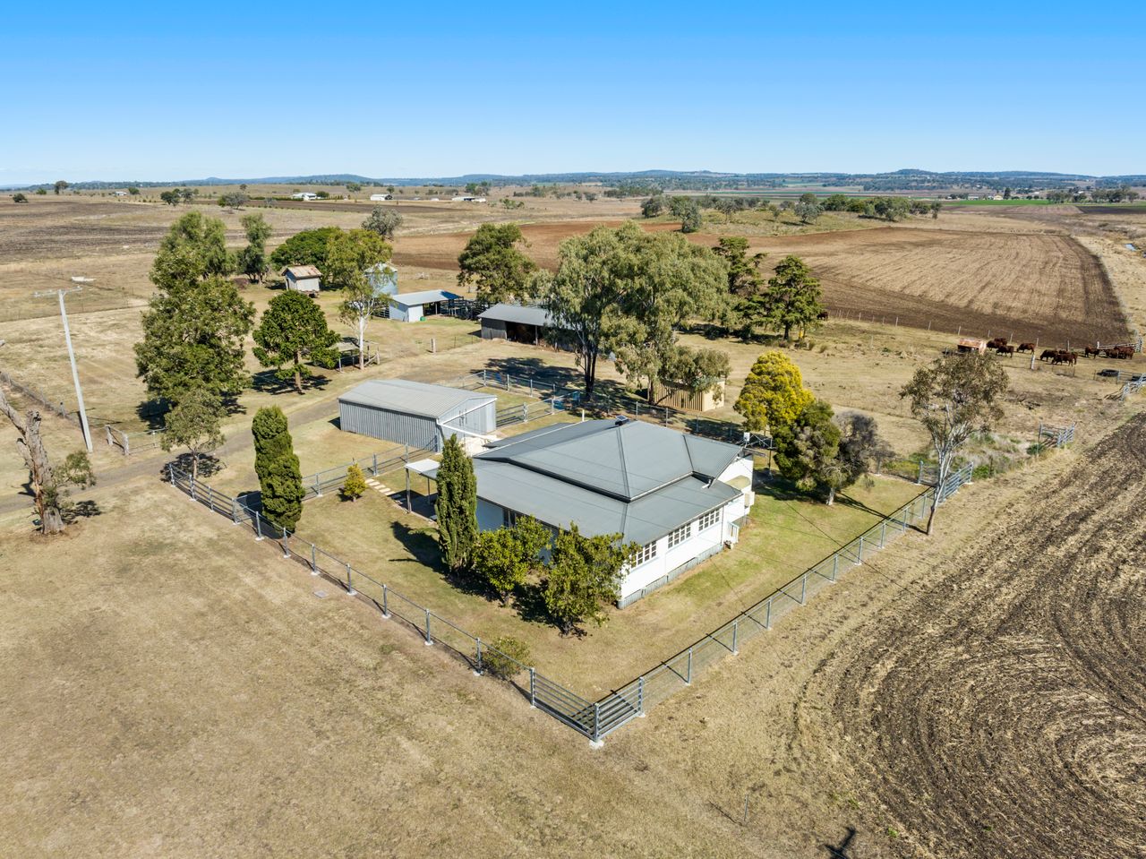 Auctions Ray White Rural Toowoomba