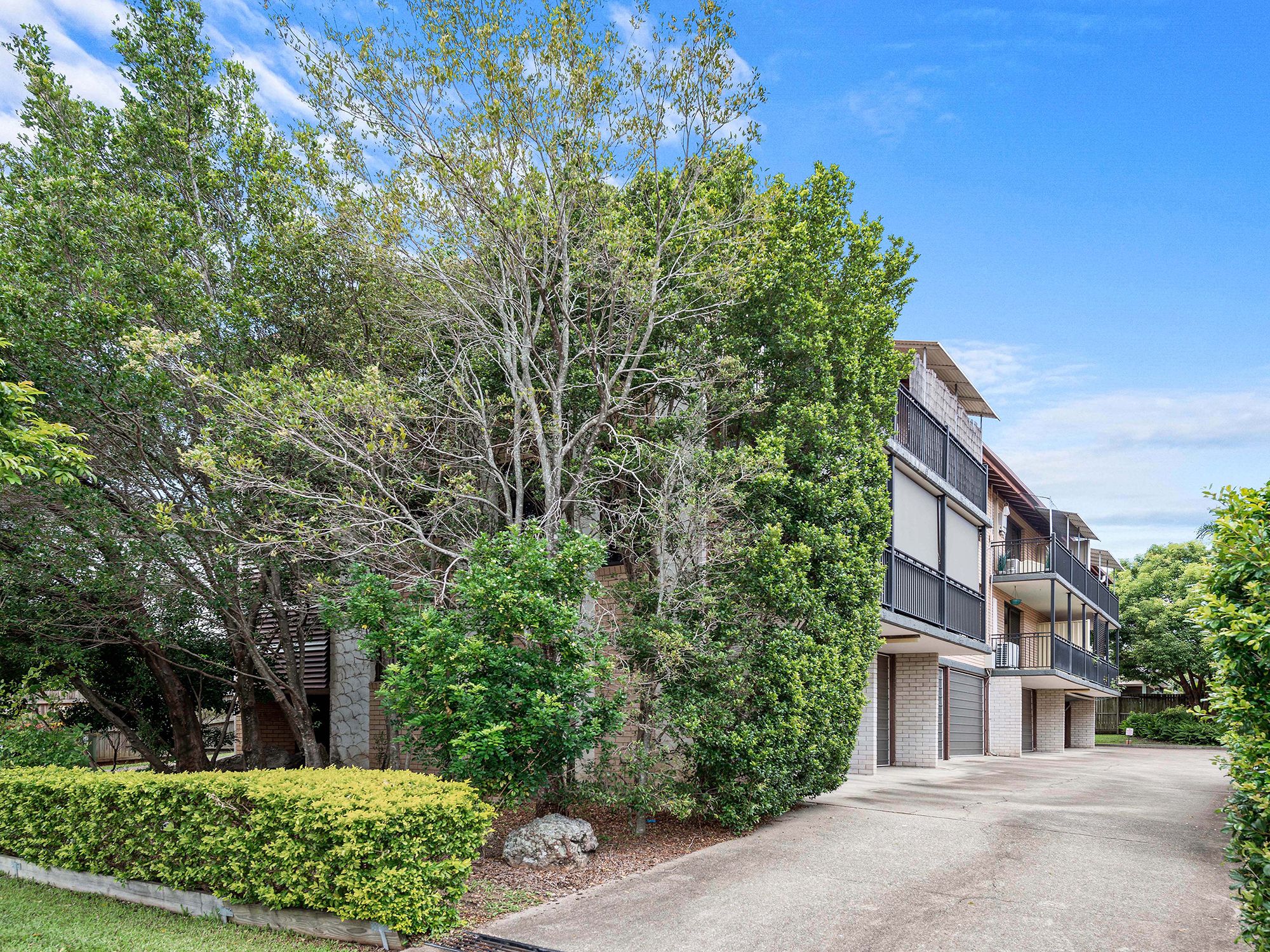 19 Primrose Street, Sherwood QLD 4075