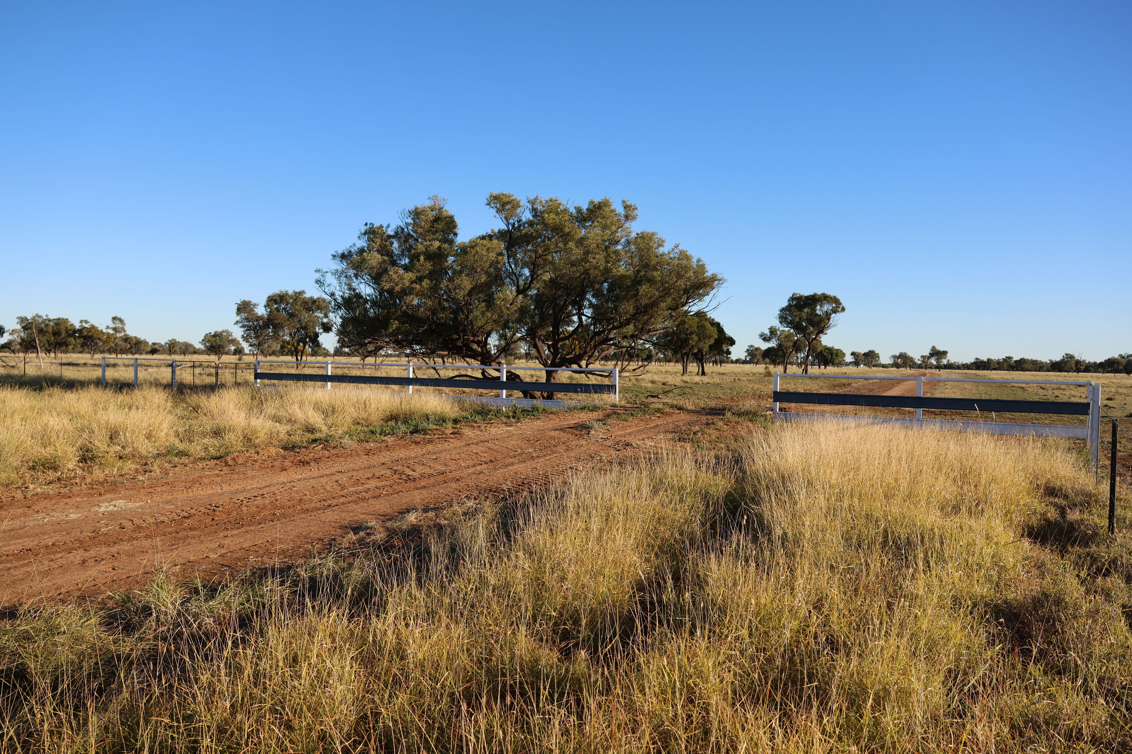 3654 Emmet Road, Blackall, QLD 4472