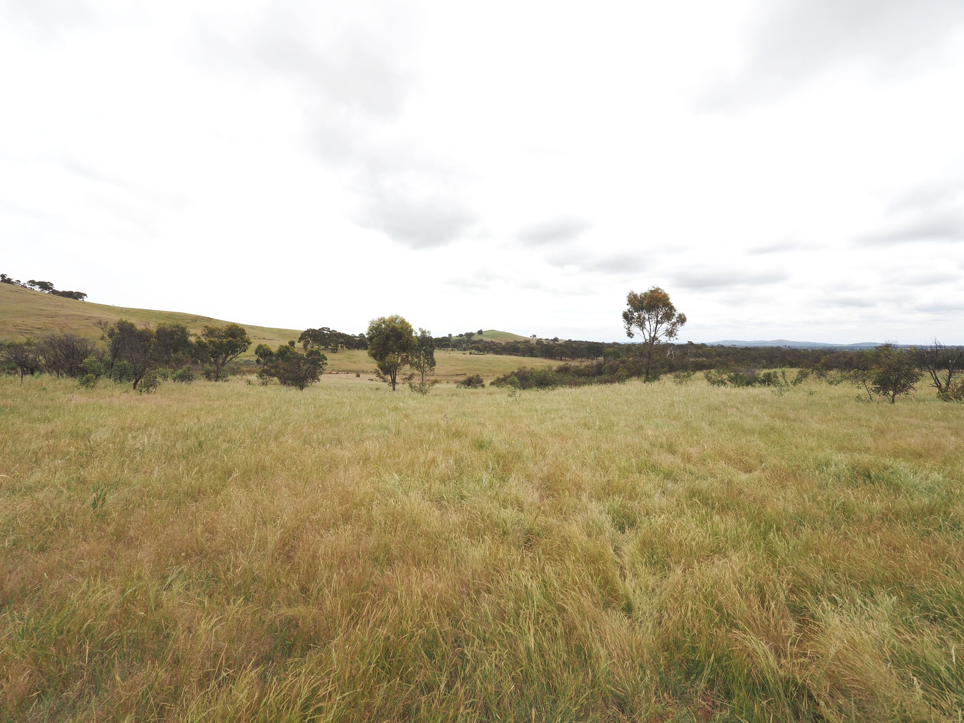 CA 25C Rifle Butts Road, Landsborough, VIC 3384