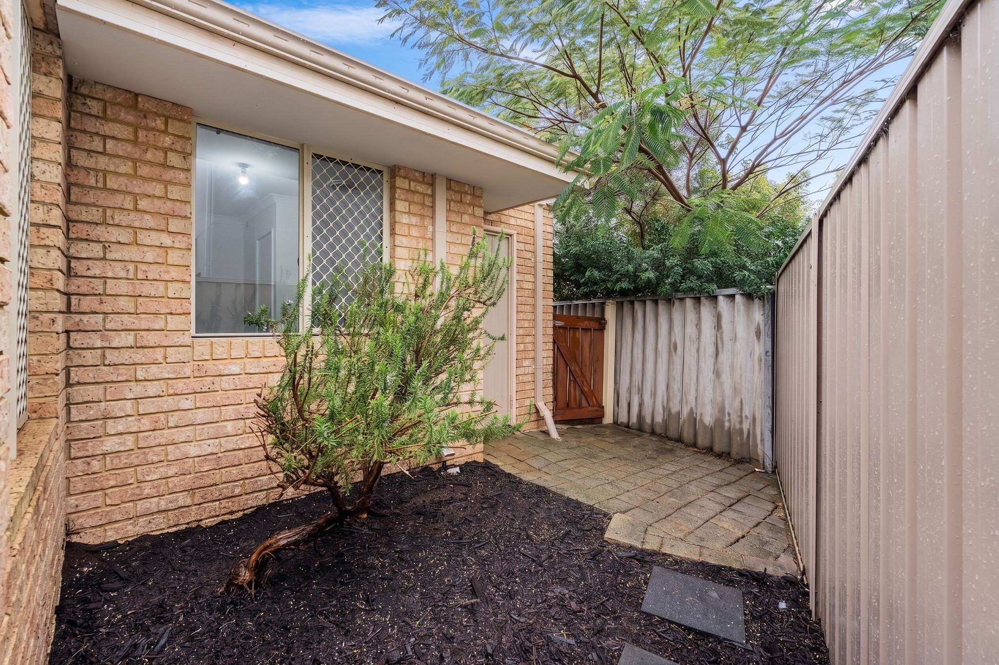 4A Sonia Street — photo 14 of 21