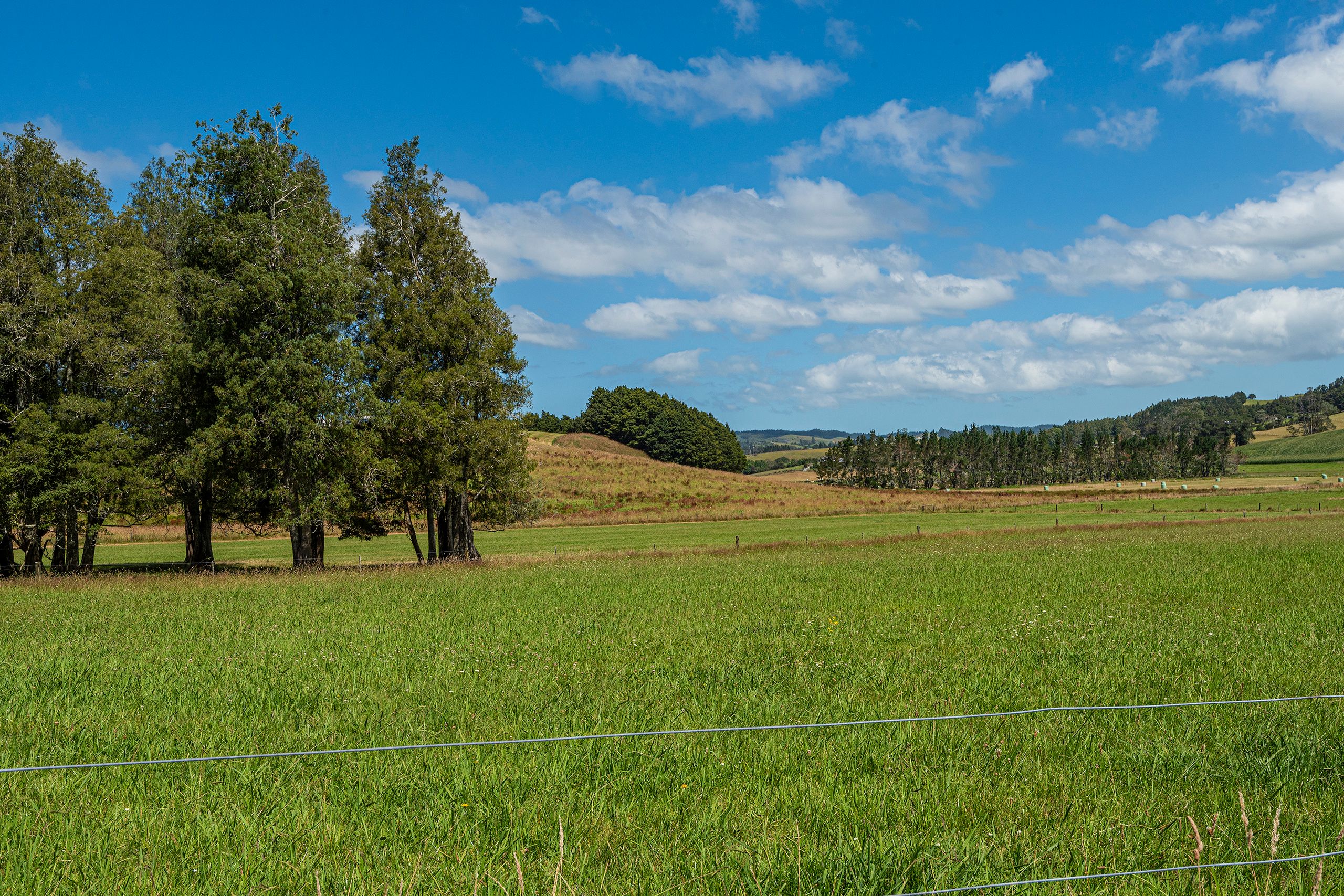 111 Corbett Road, Hikurangi, Whangarei District 0114 Rural Grazing