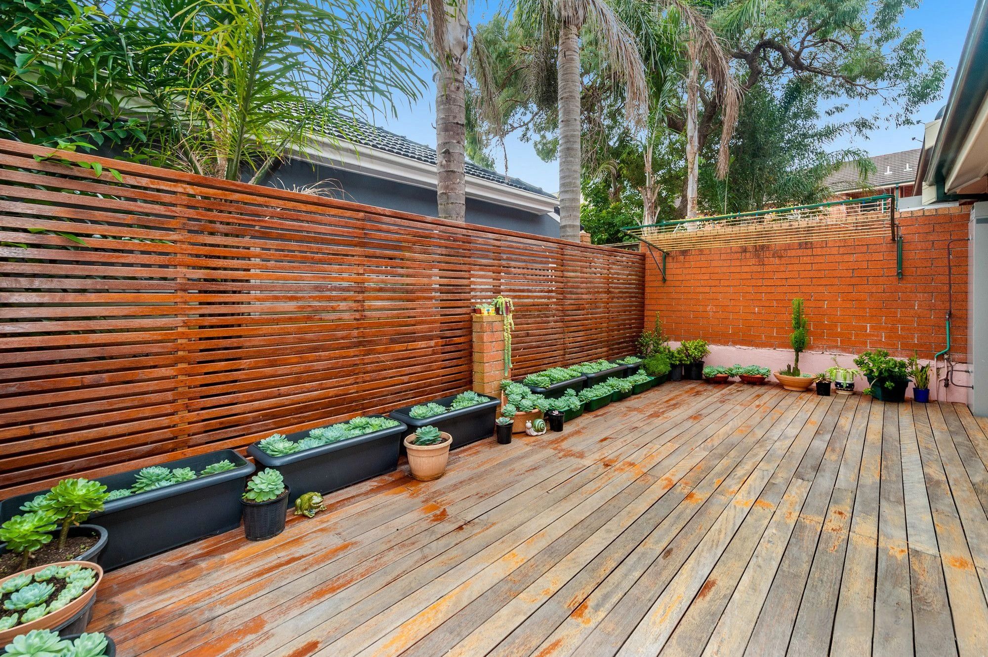 3/39 Robey Street, Maroubra, NSW 2035