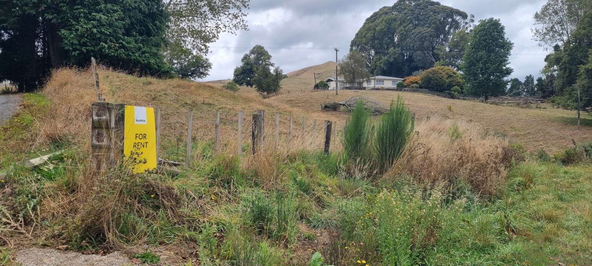 539 Kaahu Road photo 15