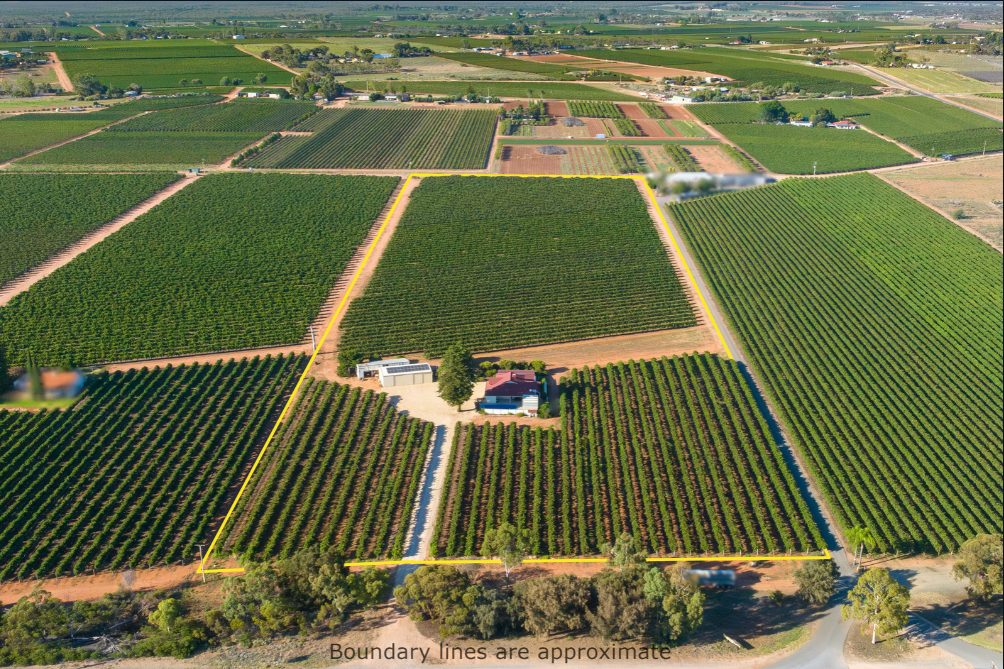 17560 Sturt Highway, Barmera, SA 5345