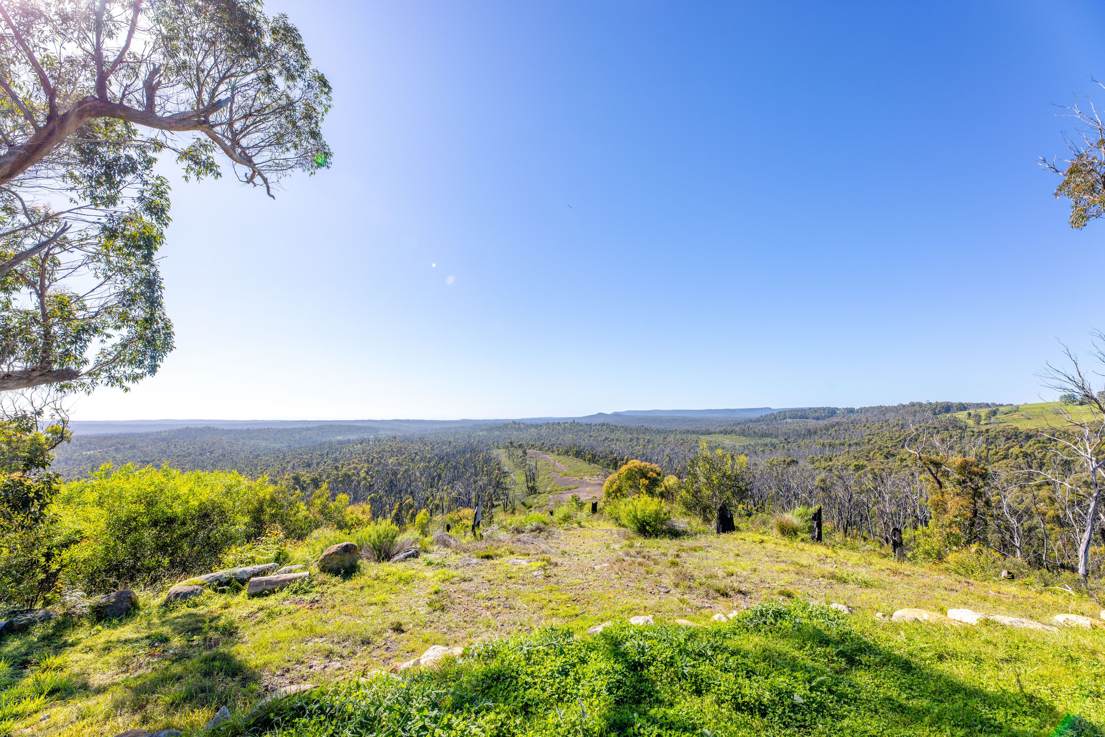 Lot 4 Braidwood Road — photo 6 of 17
