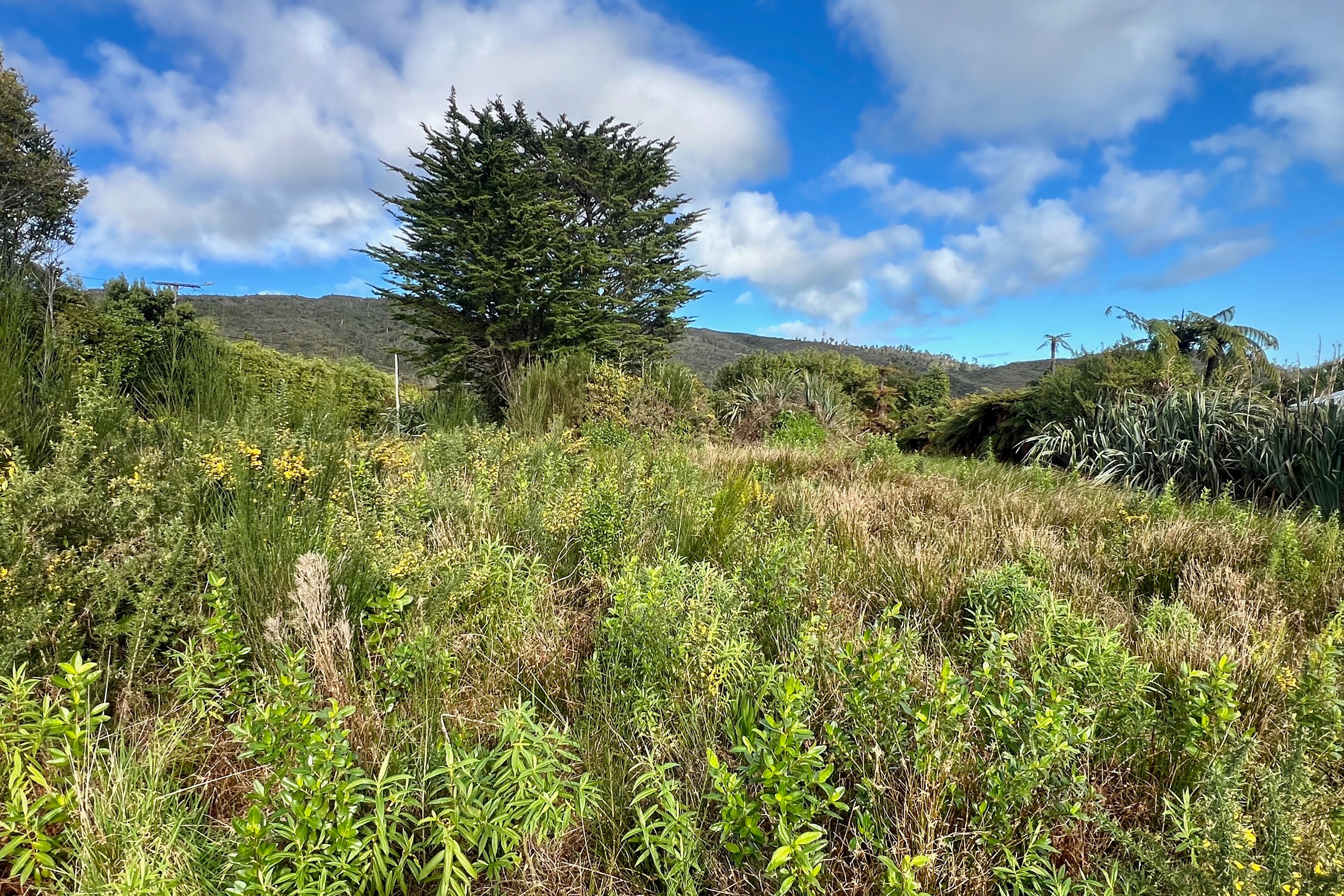 53 Blake Street, Millerton, Buller District