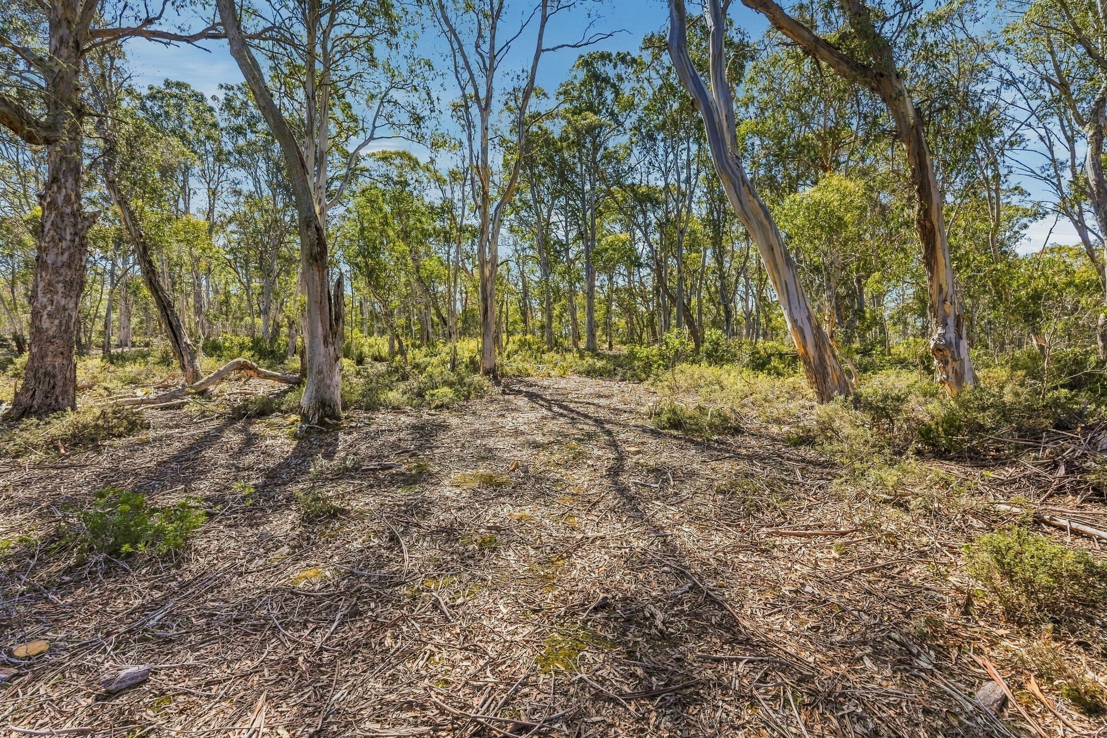 3 Pauciflora Drive — photo 8 of 12