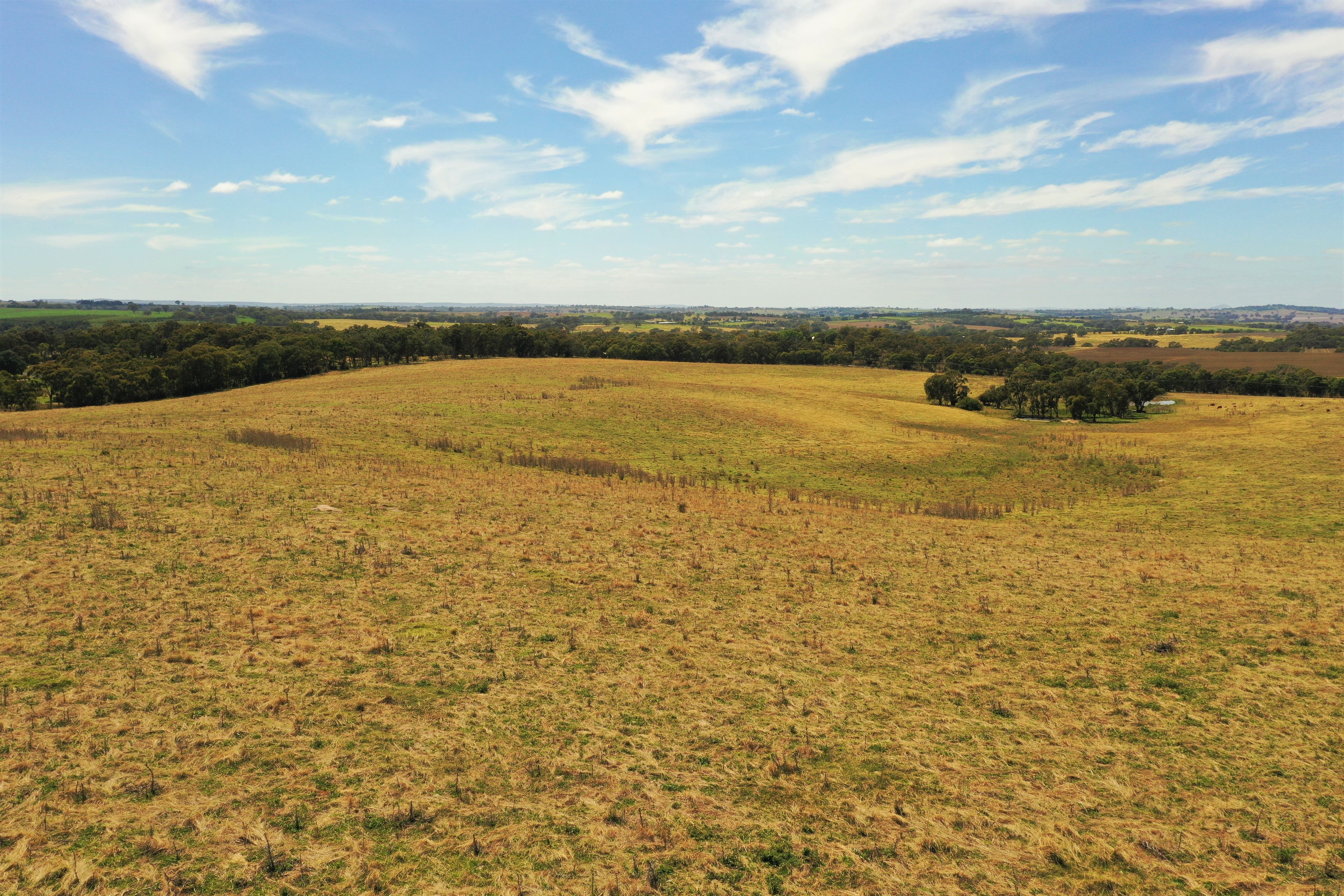 Lots 82, 83 & 84 Olympic Highway, Wombat, NSW 2587 Land for Sale