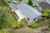 8 Bogle Grove photo 24