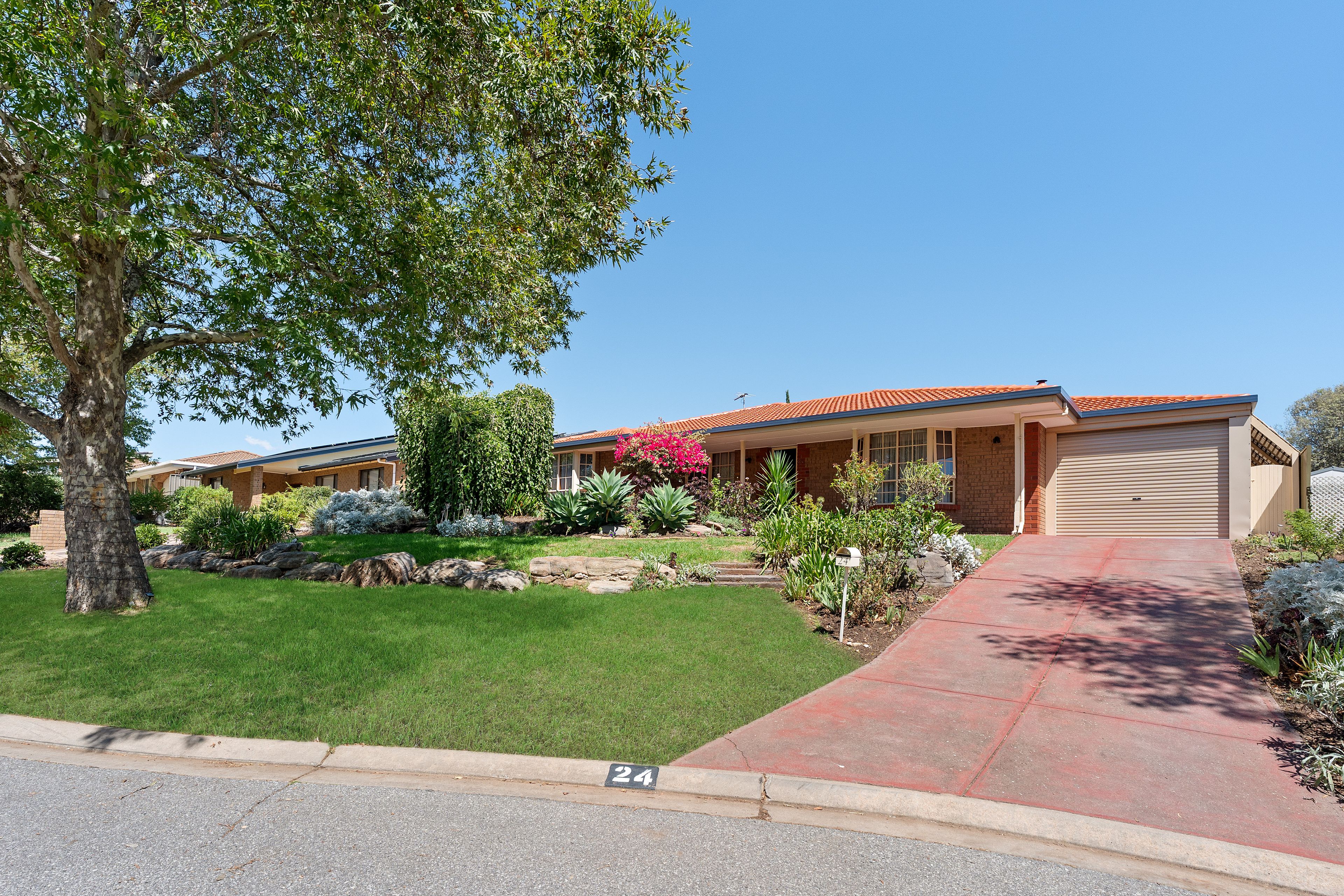 24 Galveston Place, Wynn Vale, SA 5127