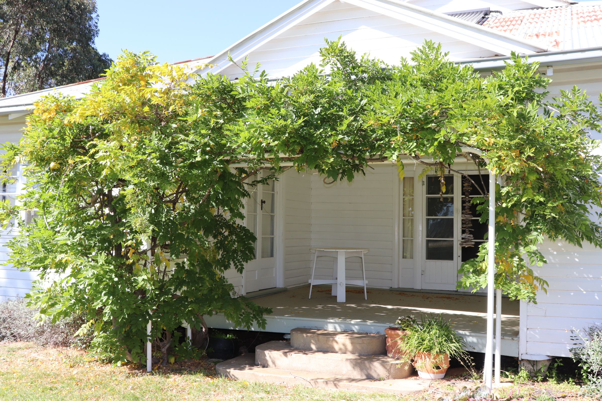 43 Camerons Road, Matheson, NSW 2370