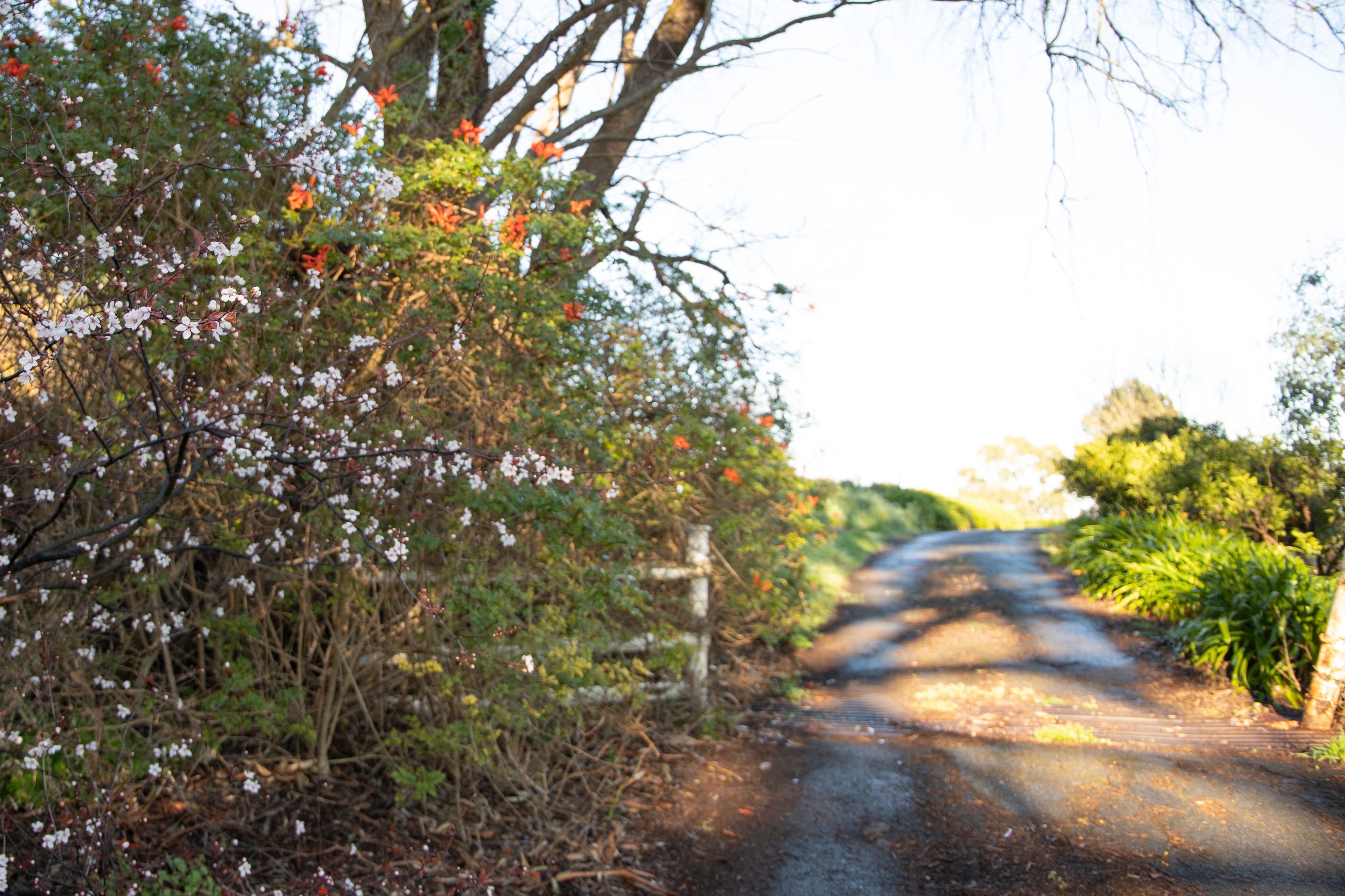 Lot 15, 240A Chandlers Hill Road, Happy Valley, SA 5159