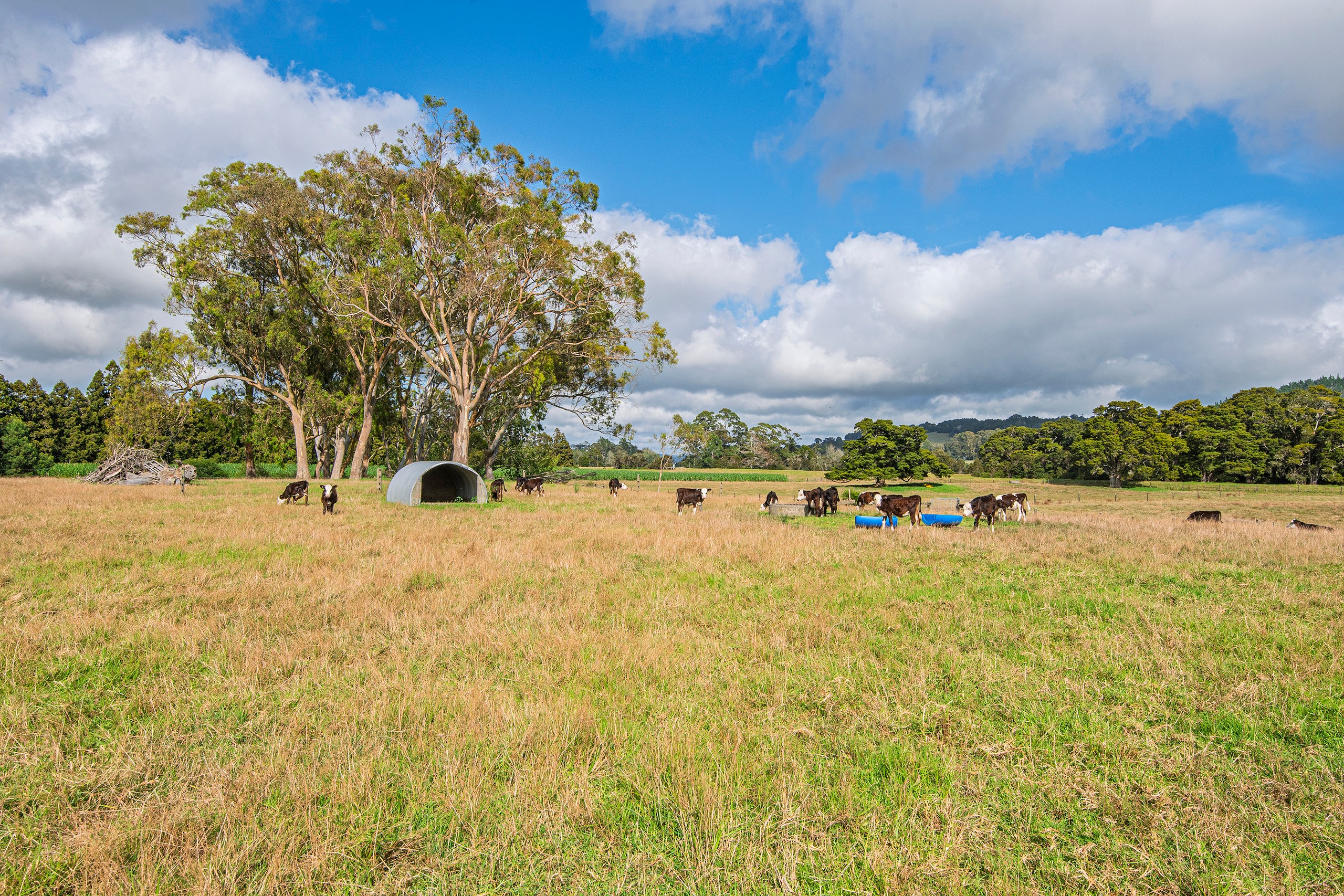 85-87 Old North Road, Whakapara, Whangarei District