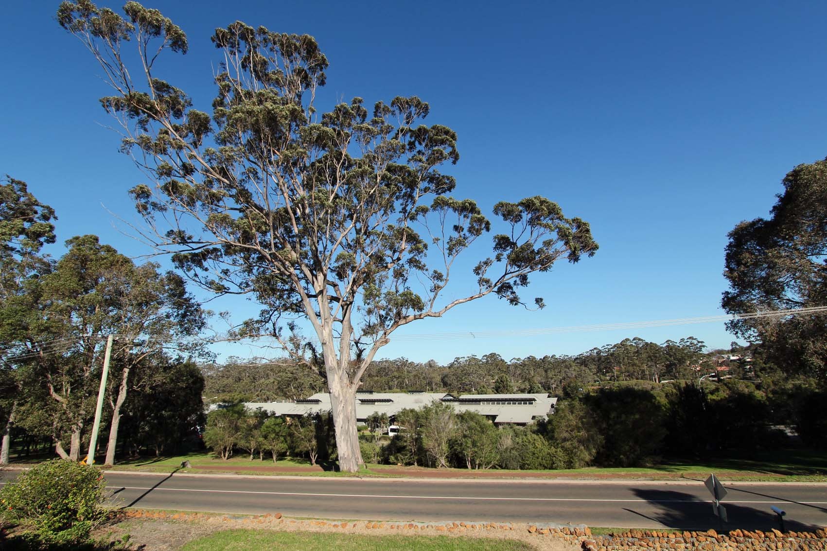 63 Scotsdale Road, Denmark, WA 6333