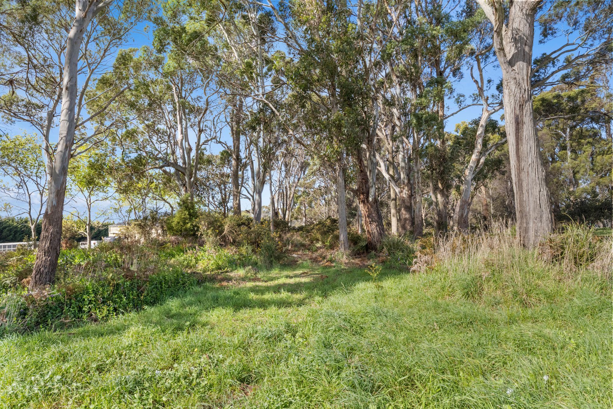 119 Wesley Vale Road — photo 27 of 30