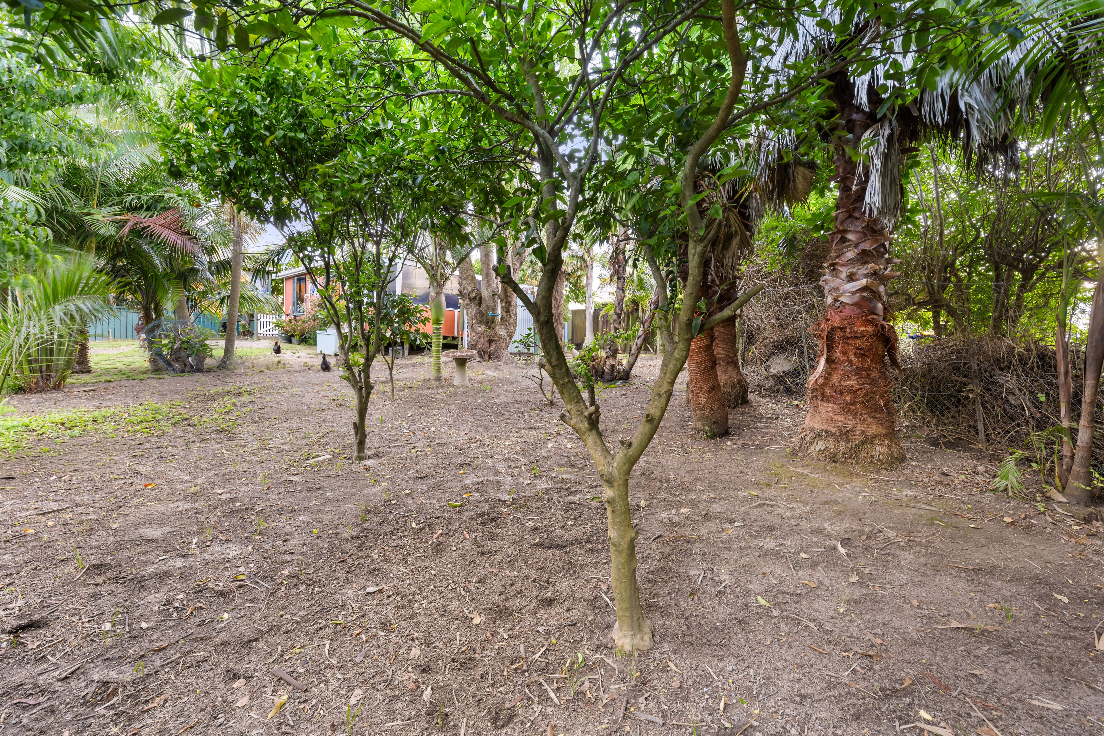 14 Mcleod Road, Henderson, Waitakere City