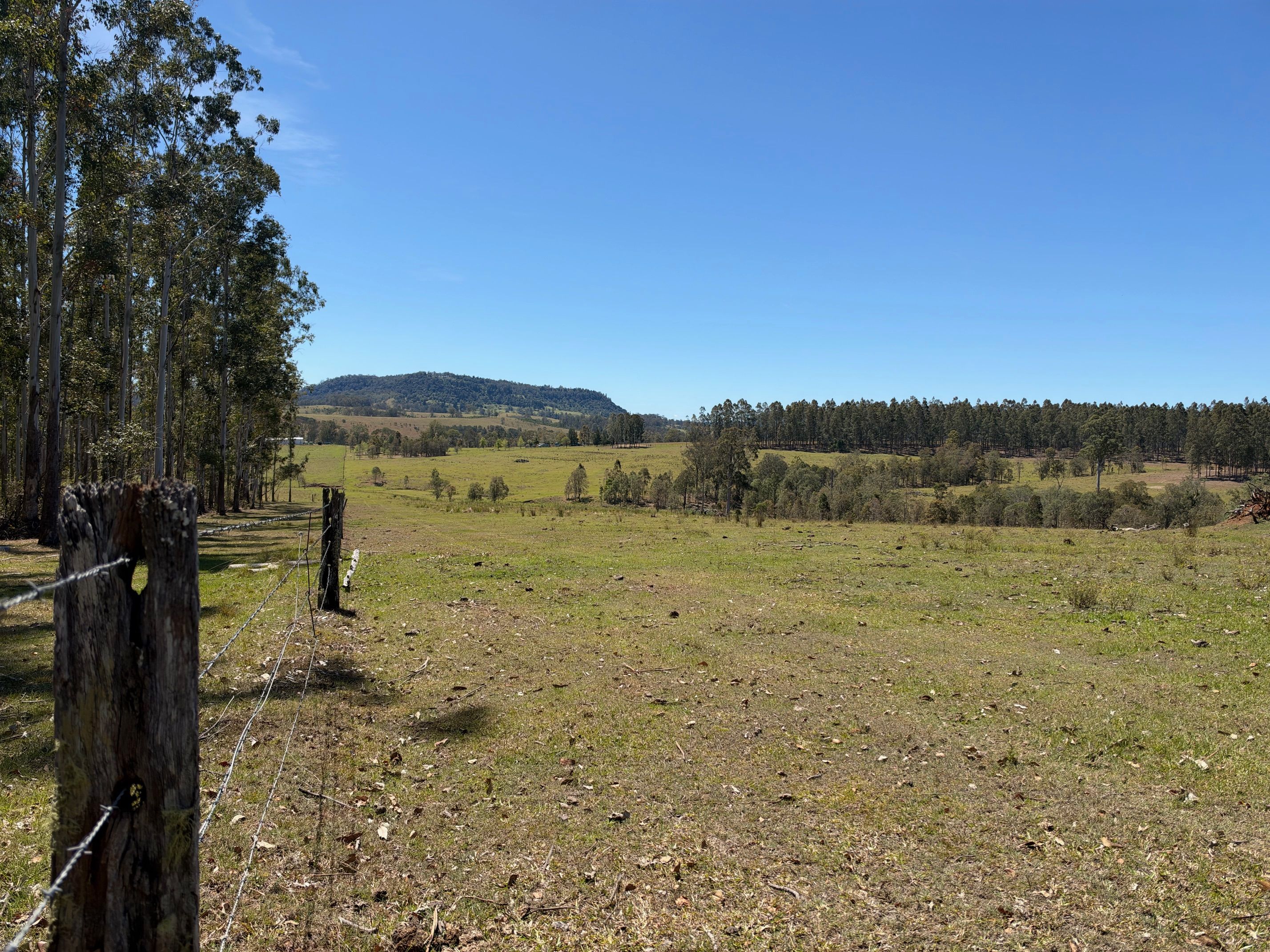 284 Tabulam Road, Lower Bottle Creek, NSW 2469