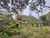 19 Hollydale Grove photo 22