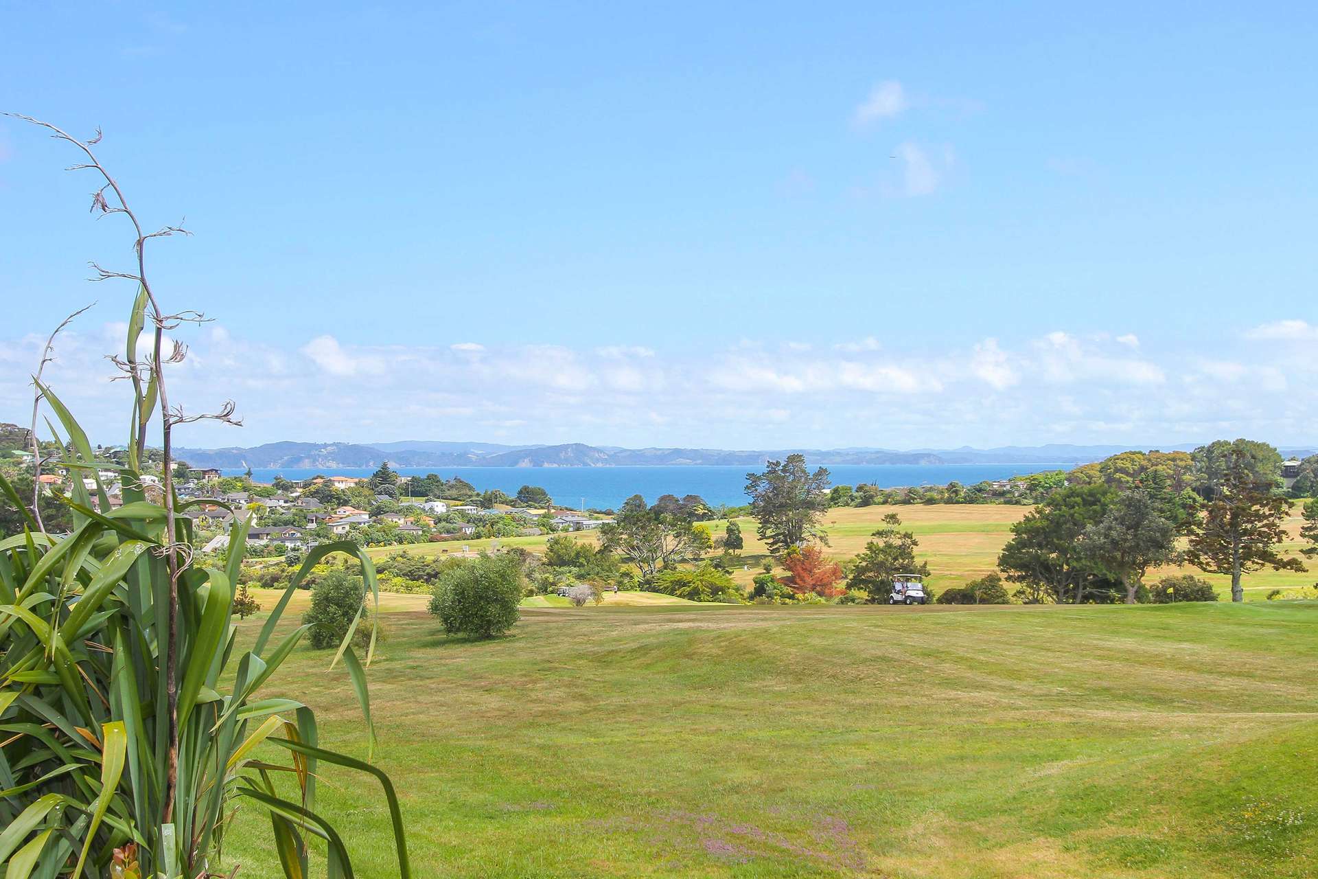 5 Alverna Heights, Gulf Harbour, Rodney Real Estate Ray White New