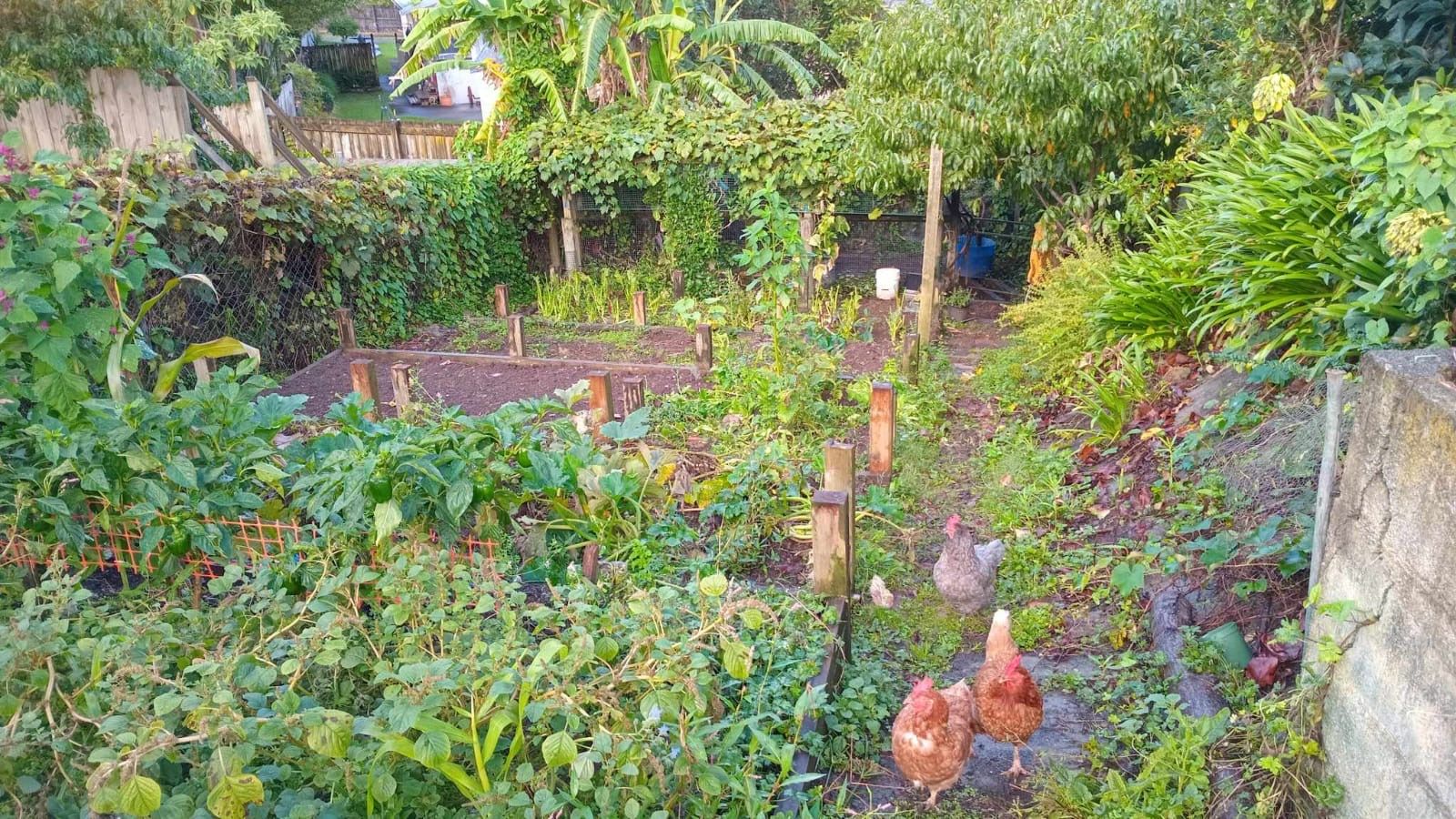 11 Sunnyside Road, Sunnyvale, Waitakere City