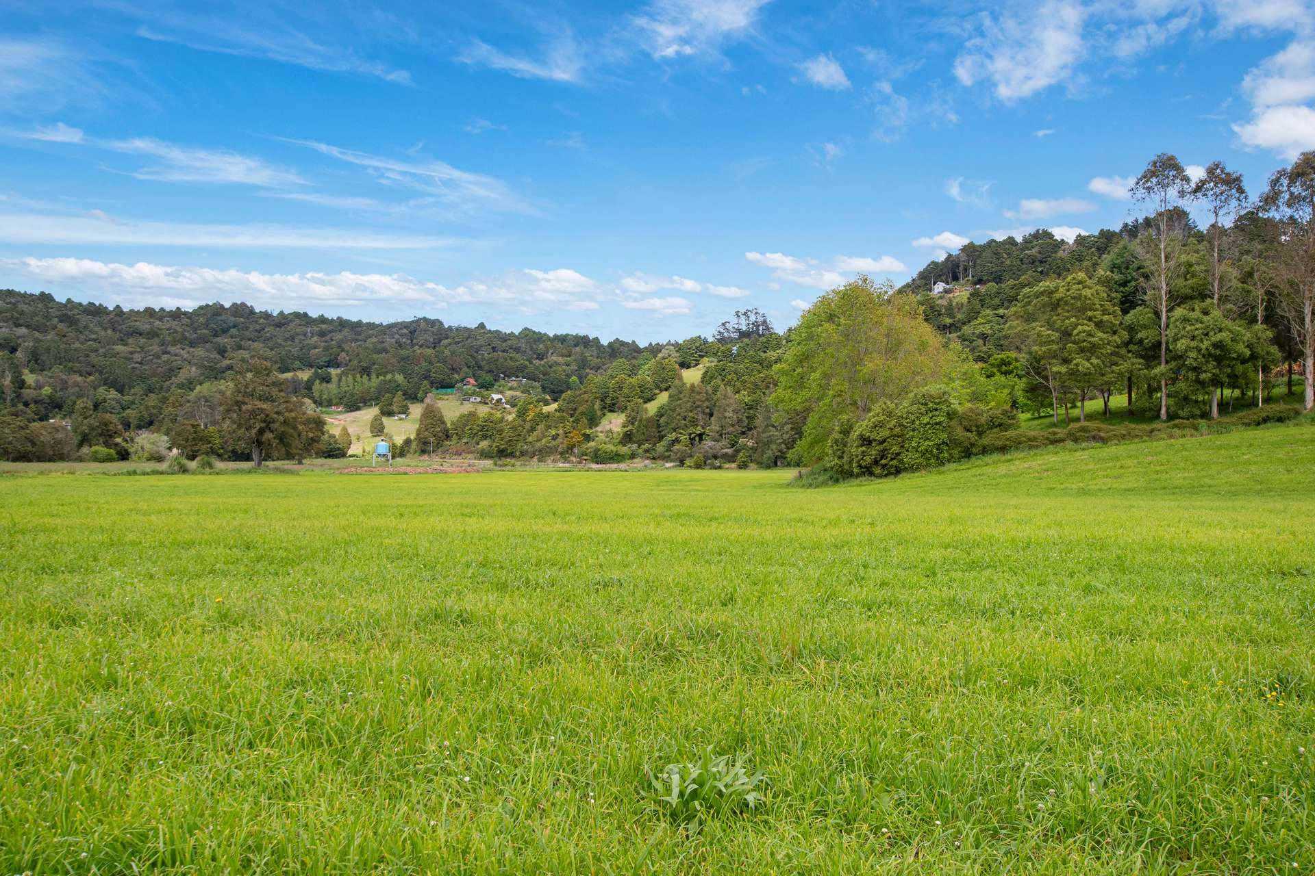 0 Russell Road Airstrip Block photo 11