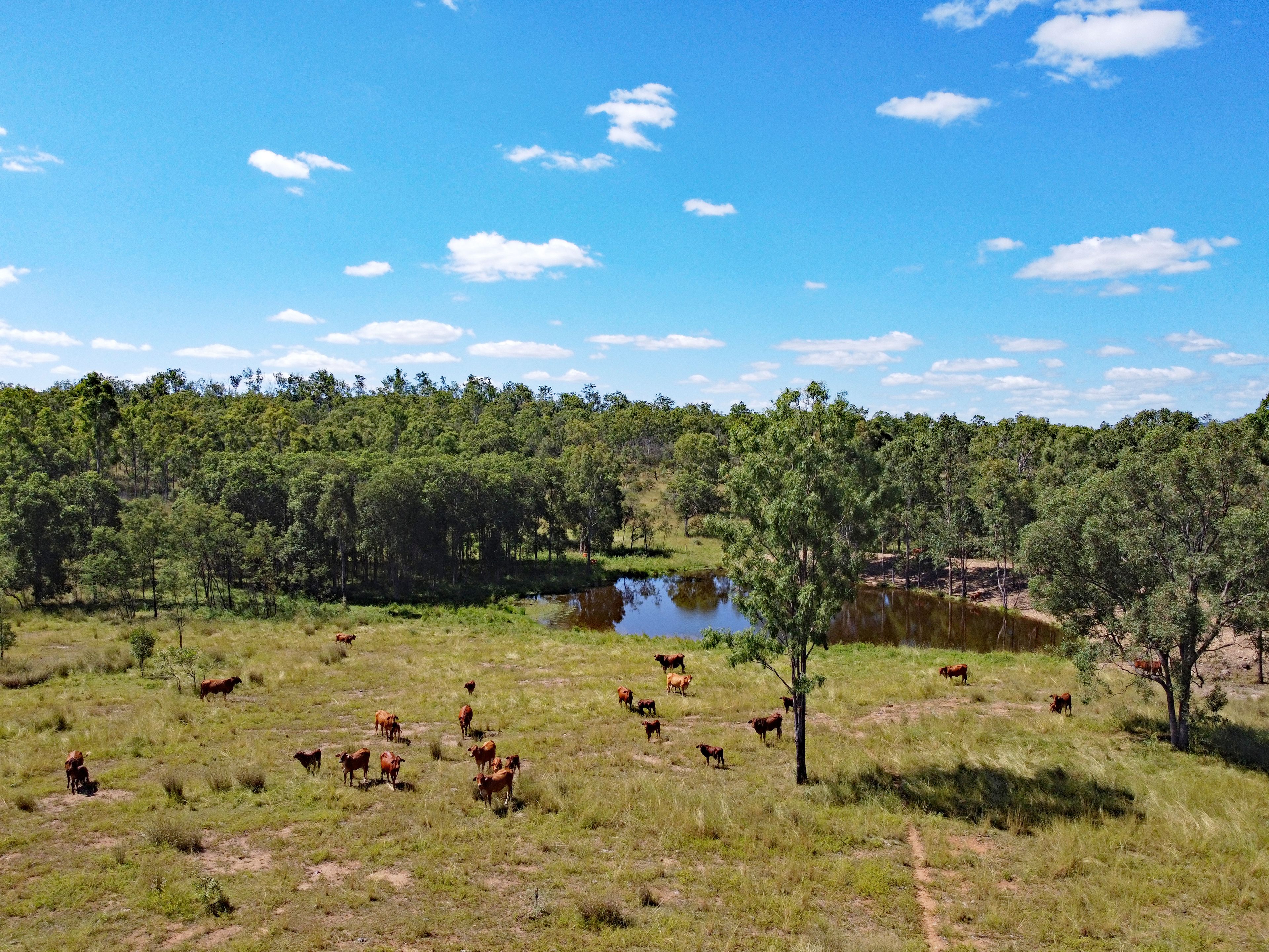 4995 Boondooma Road, Toondahra, QLD 4625 Rural Property for Sale