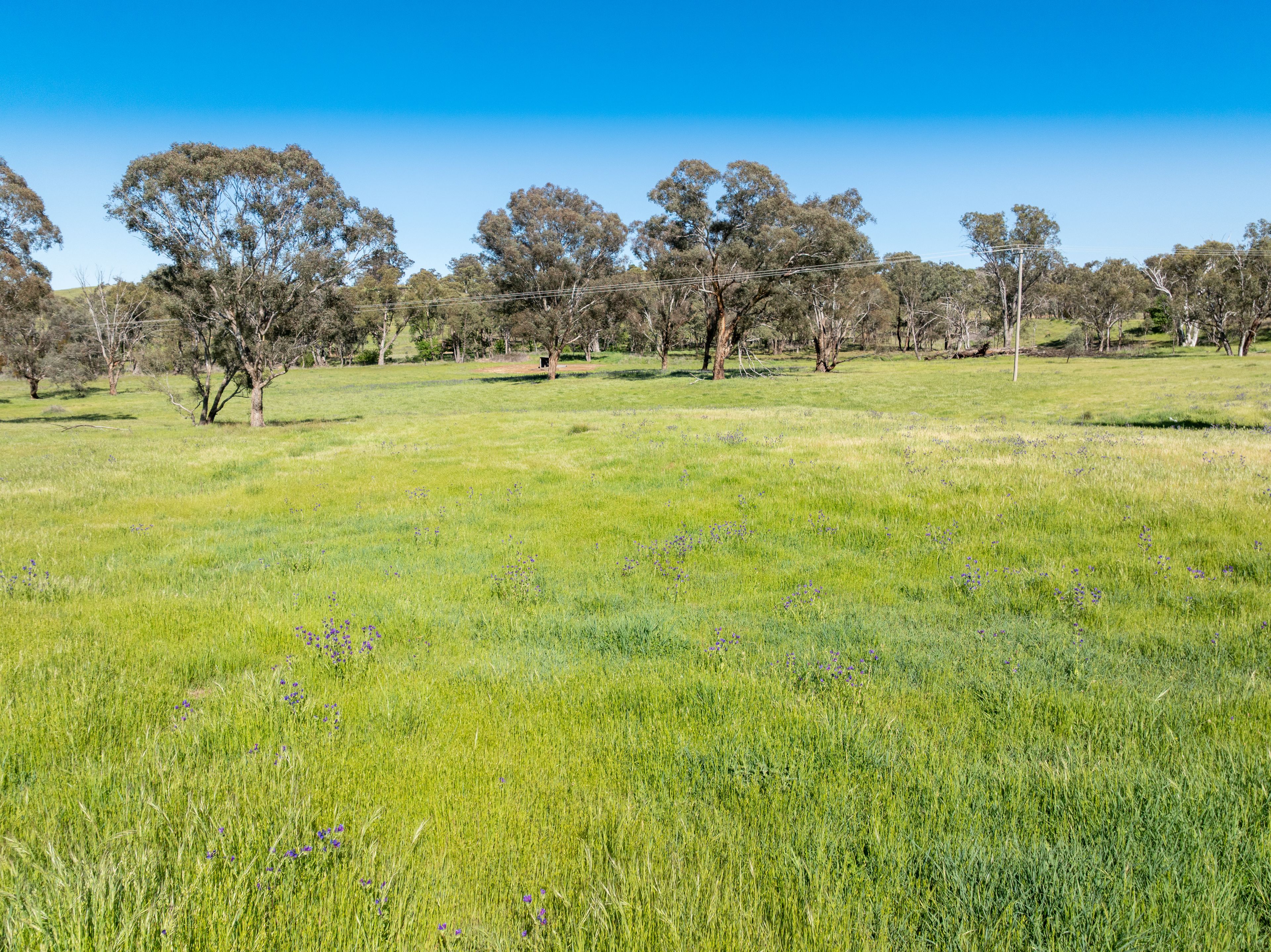 'Weemala' 5736 Burrendong Way — photo 3 of 17