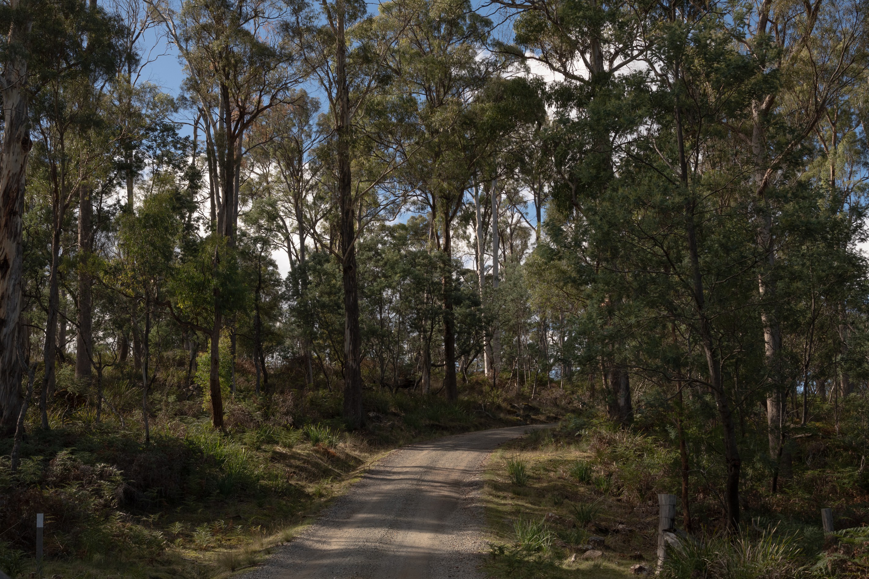 172 Bridgenorth Road, Legana, TAS 7277