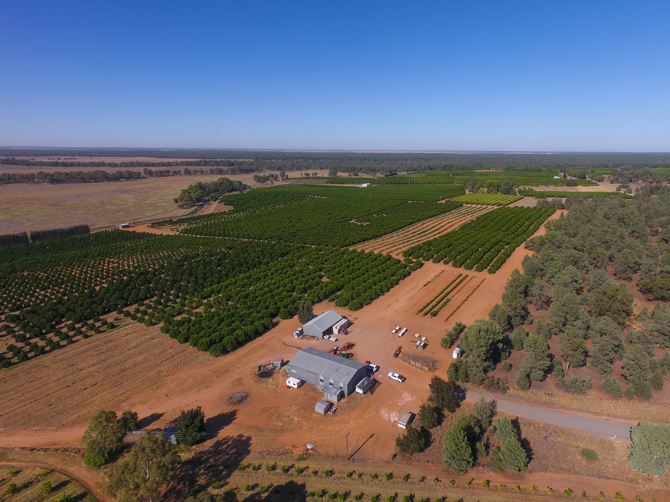 Farm 1572 42 Stannard Road, Cudgel, NSW 2700