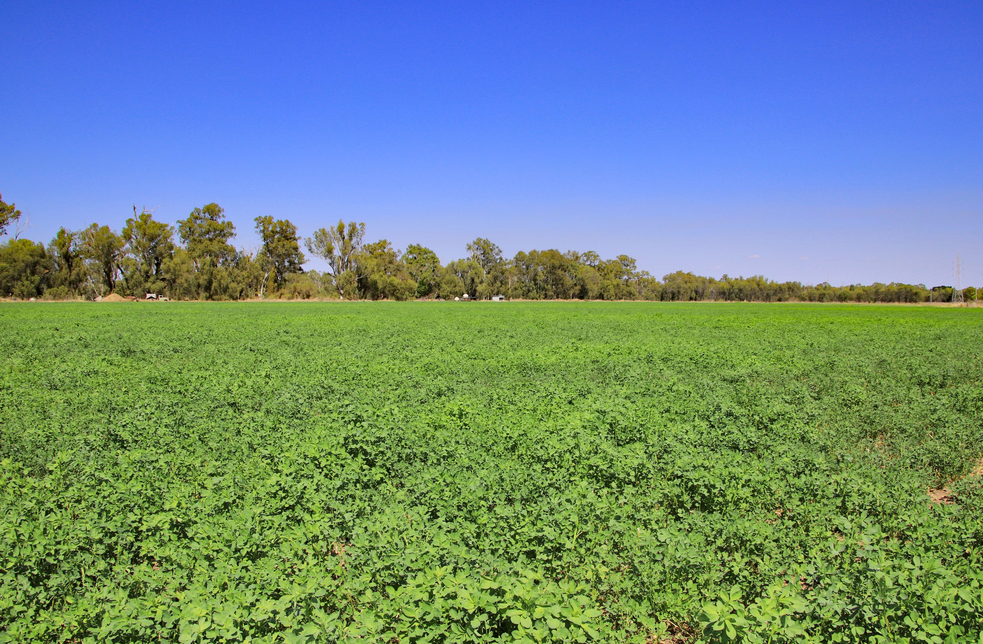 76 Biloela Callide Road, Mount Murchison, QLD 4715 Rural Mixed