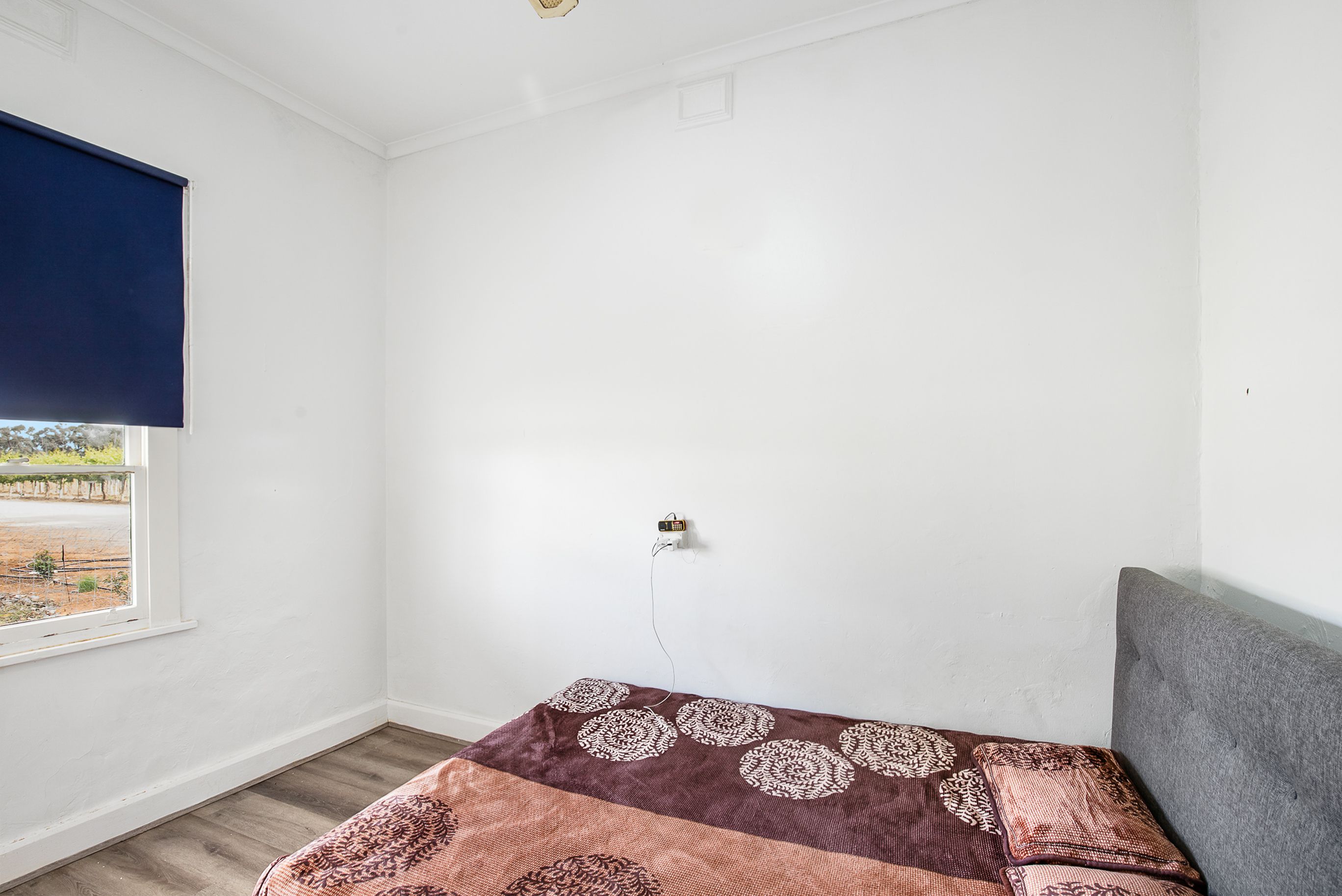 50 Arnold Coats Road — photo 13 of 30