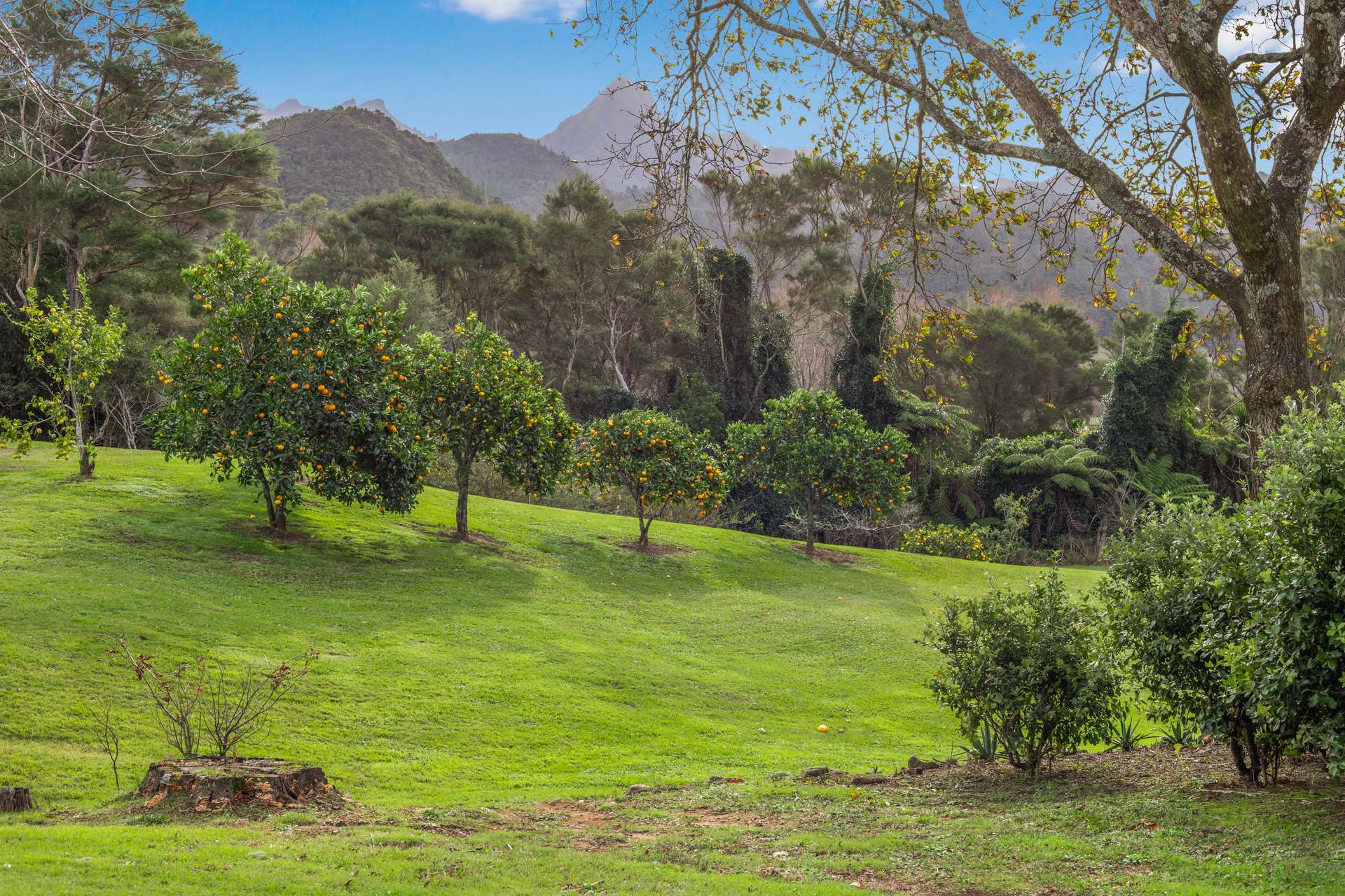 122 Puketui Valley Road photo 60