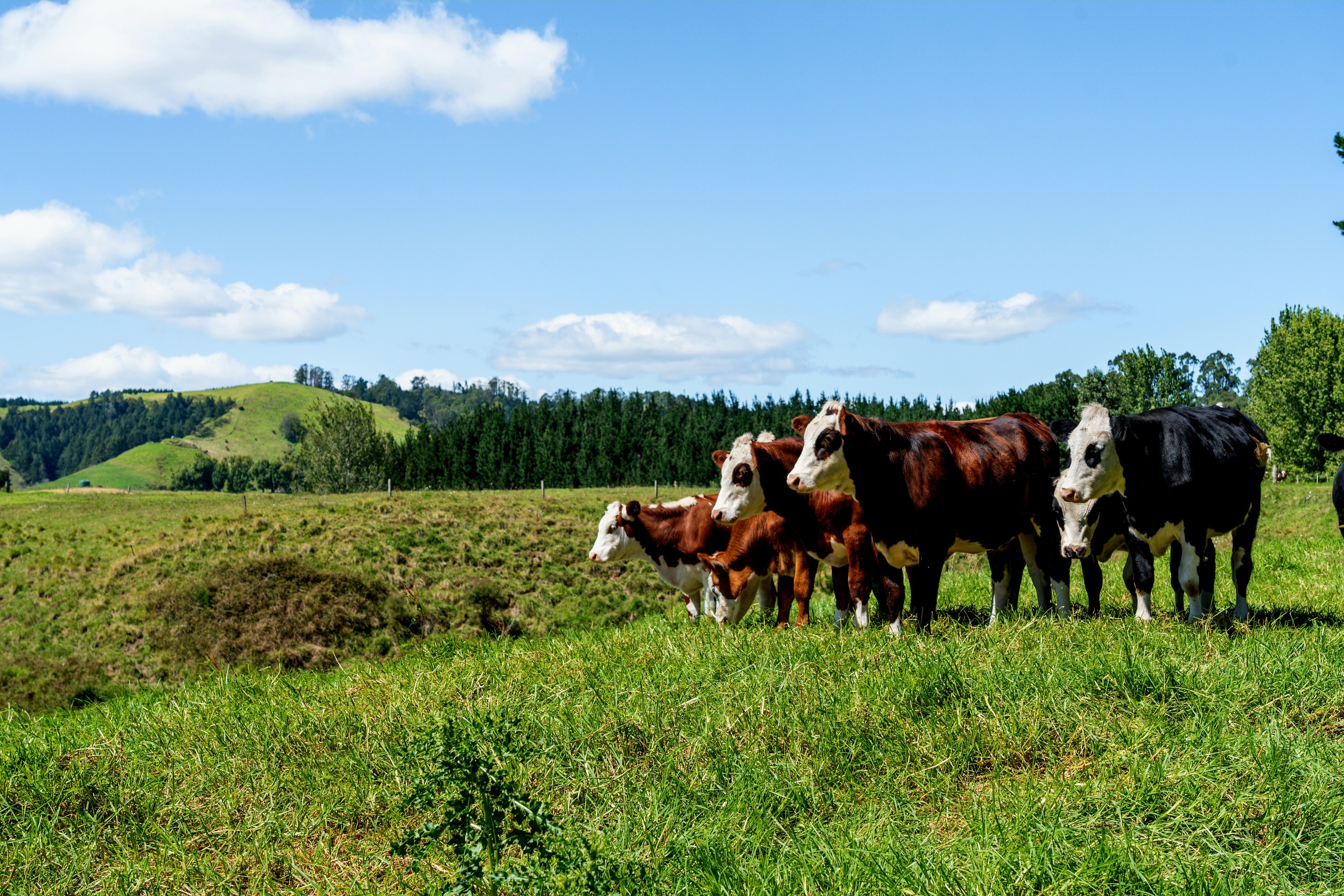 1-6/461 Otamarakau Valley Road, Pukehina, Western Bay Of Plenty District