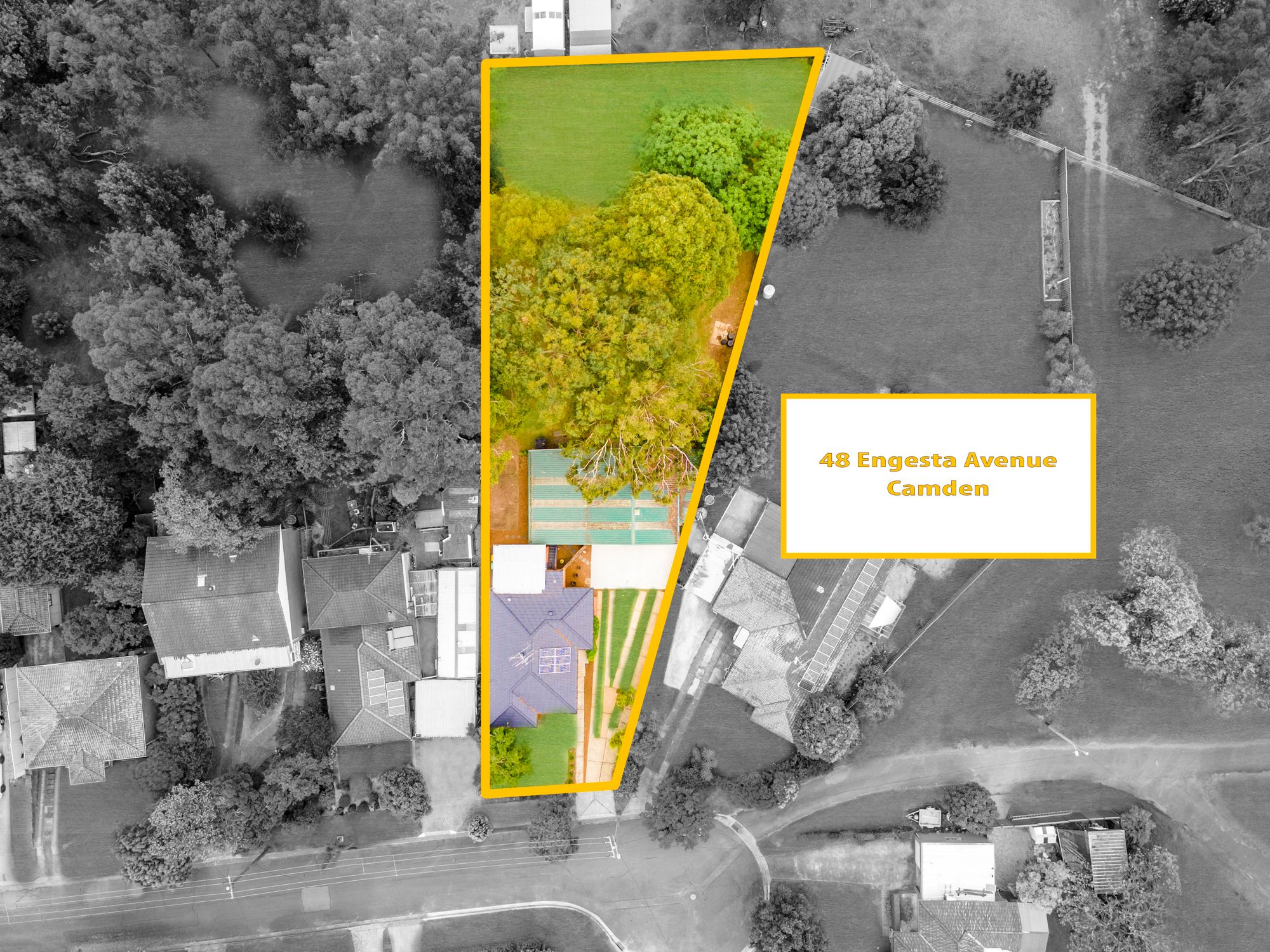 48 Engesta Avenue, Camden, NSW 2570