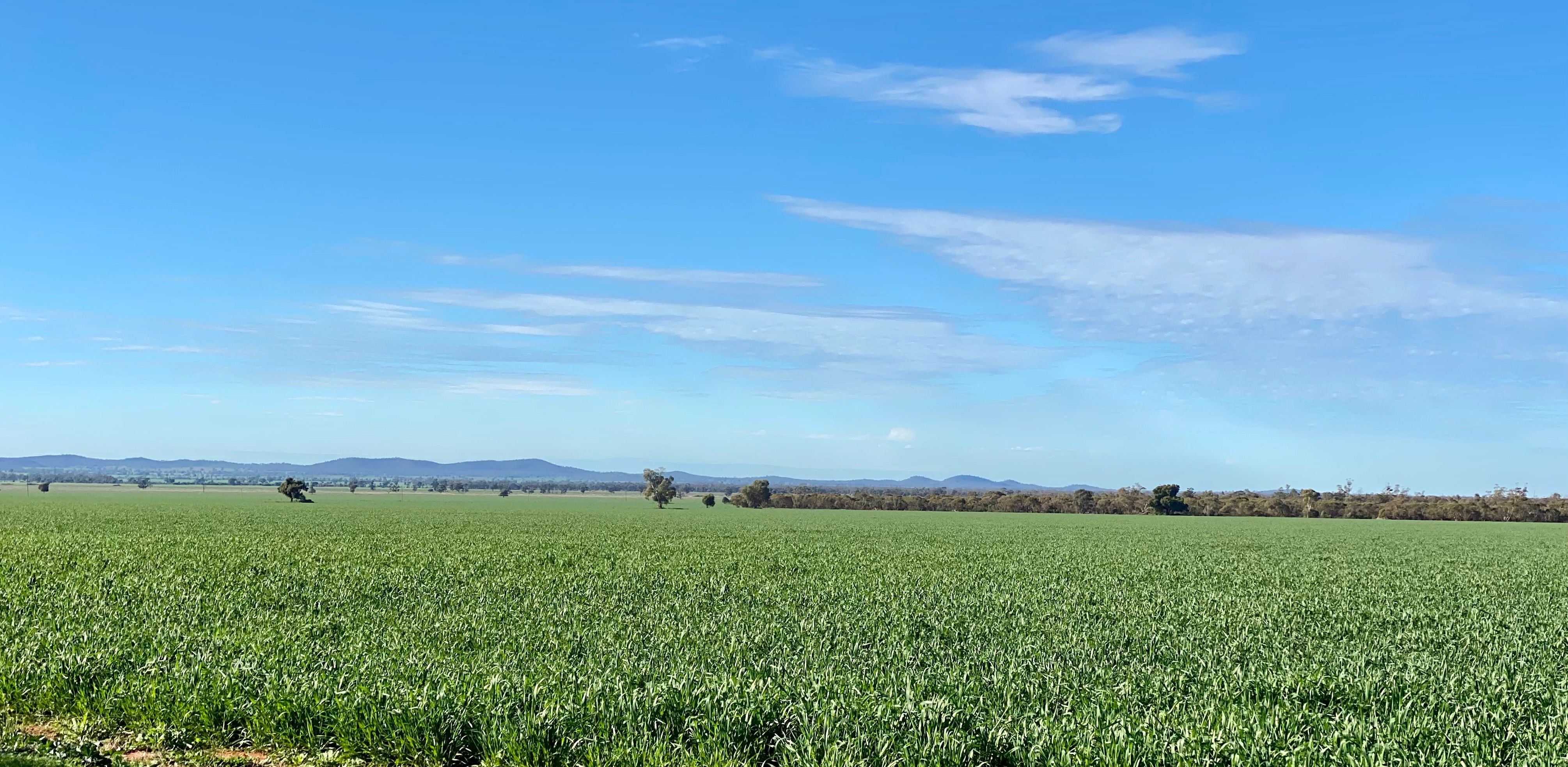 Mount Tinda 895 Rosedale Road, Condobolin, NSW 2877