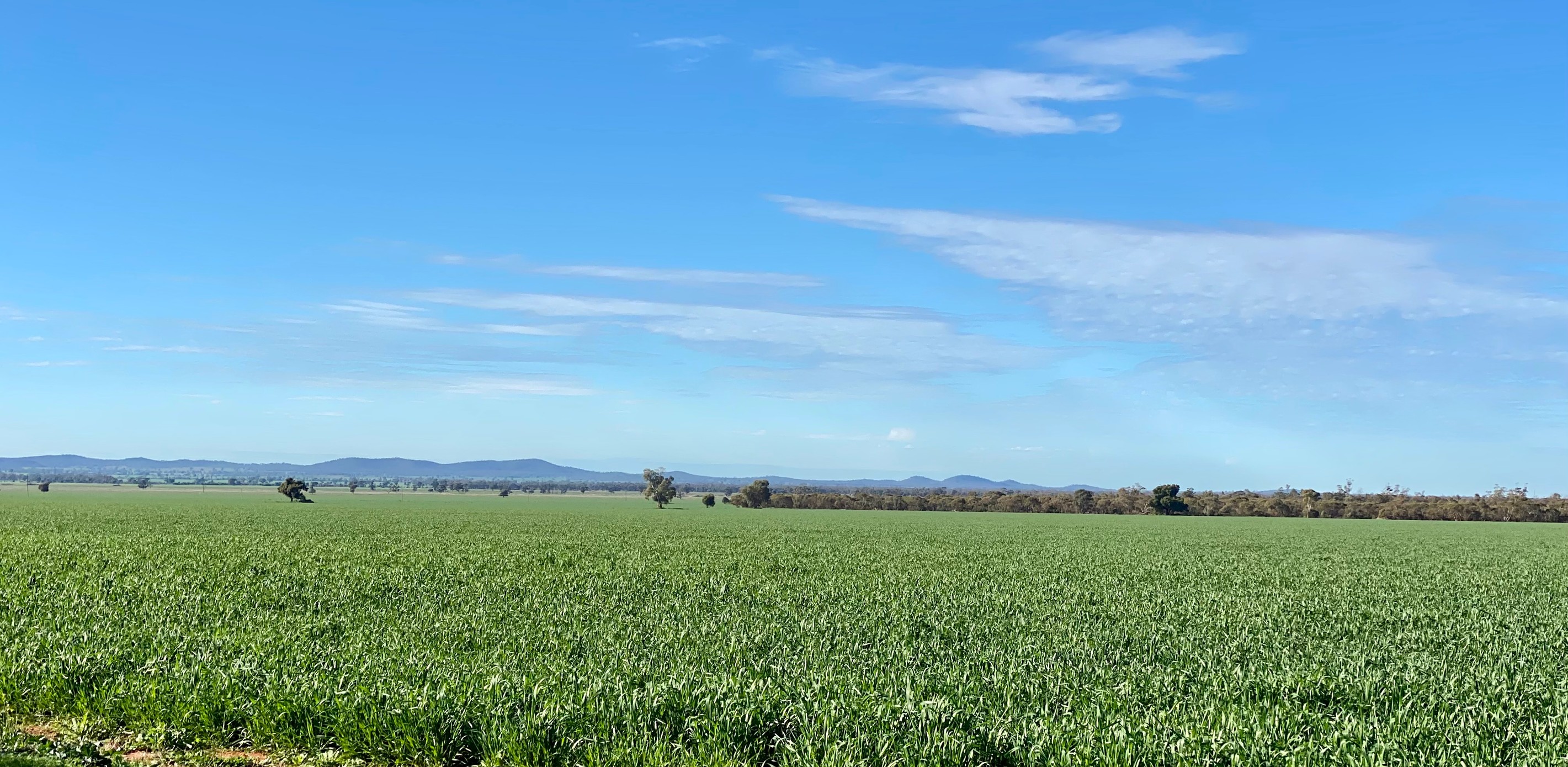 Mount Tinda 895 Rosedale Road, Condobolin, NSW 2877