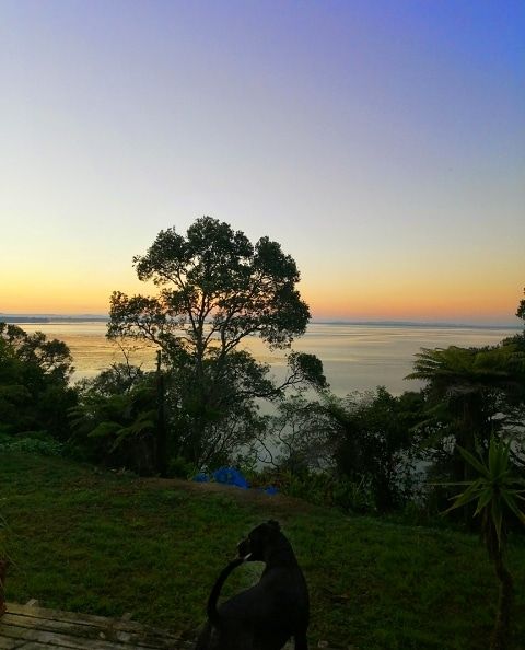 50 Cliff View Drive, Green Bay, Waitakere City