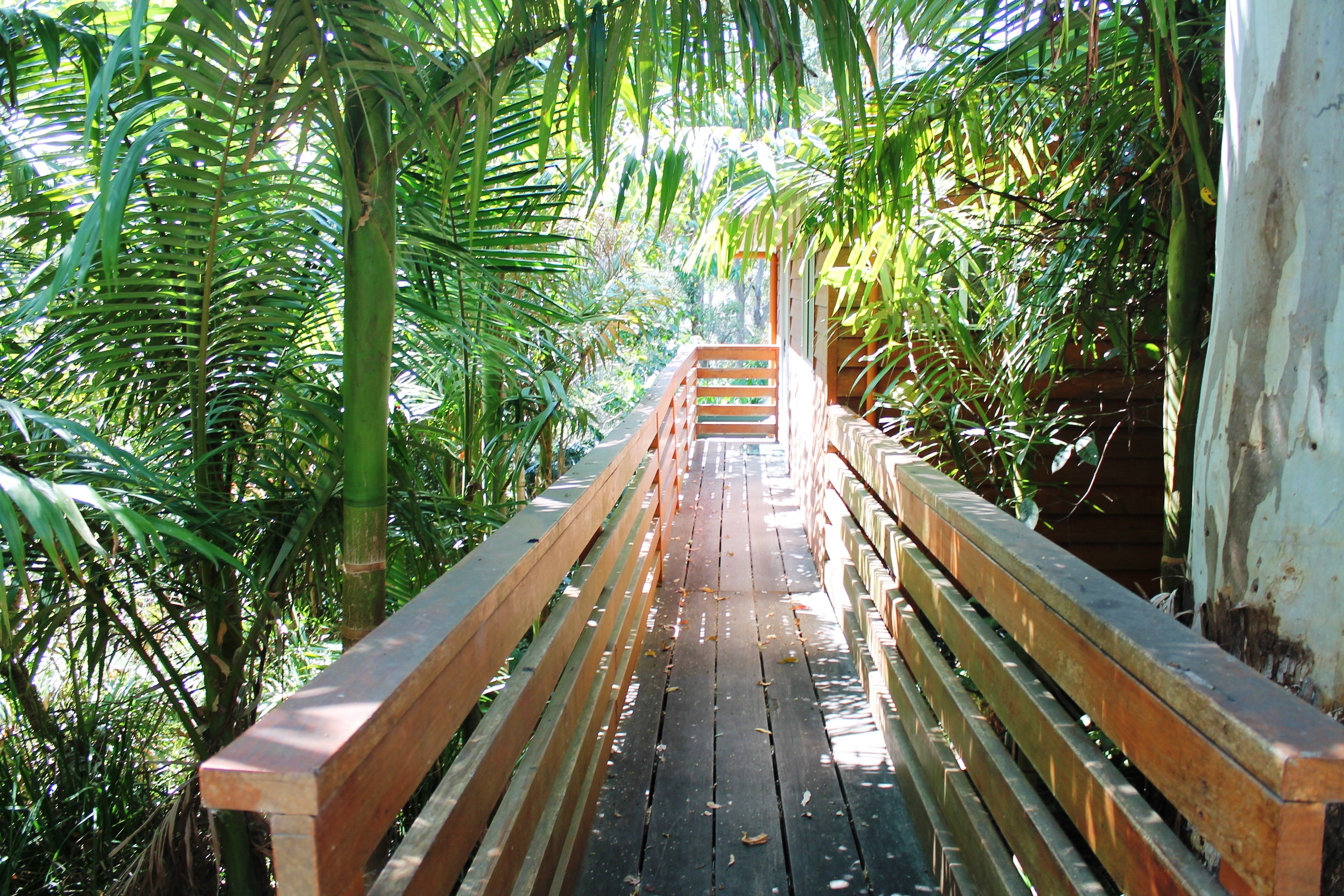 65B Guanaba Road, Tamborine Mountain, QLD 4272