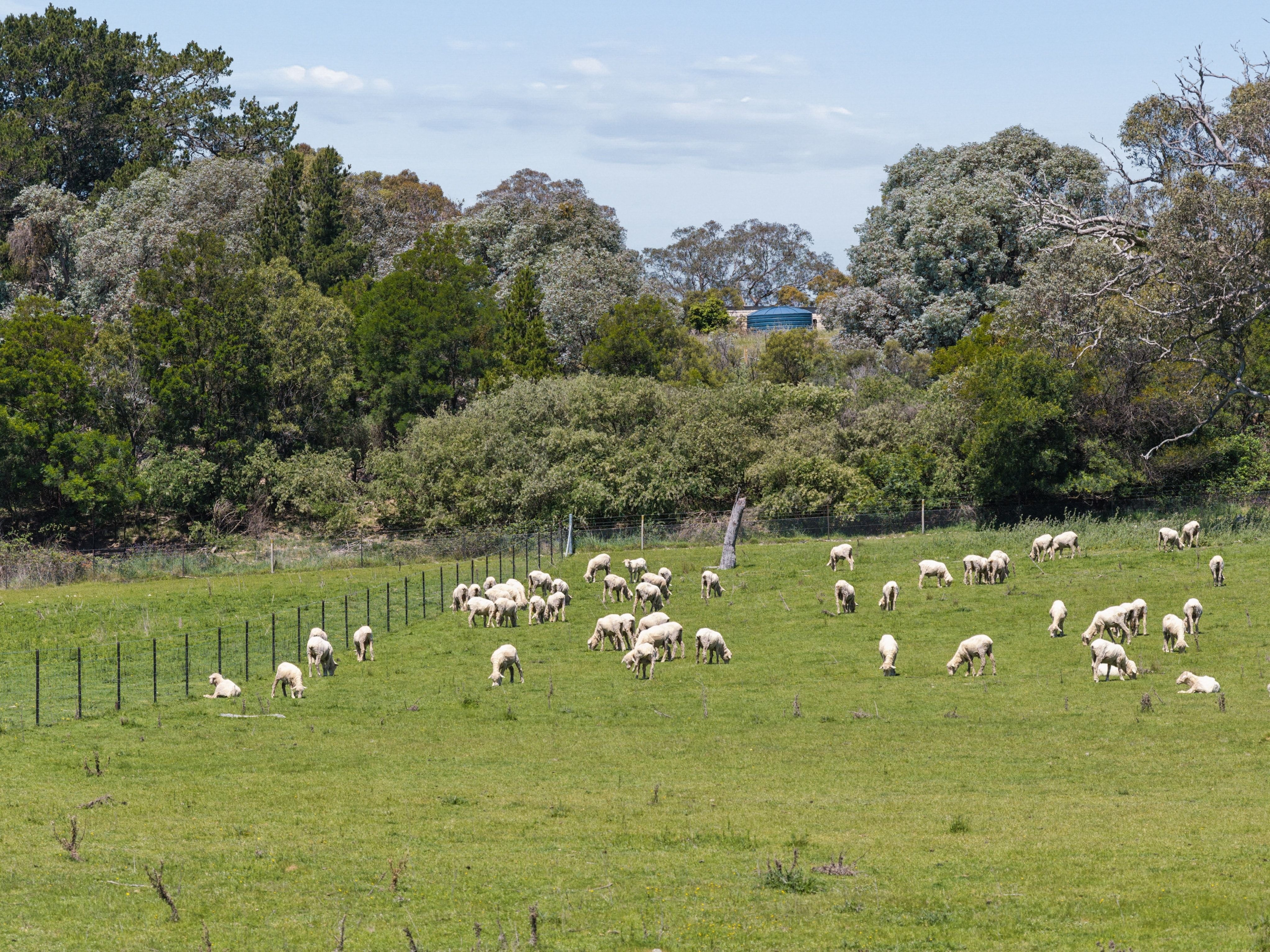 "Banjo's", 28238 Hume Highway — photo 2 of 26