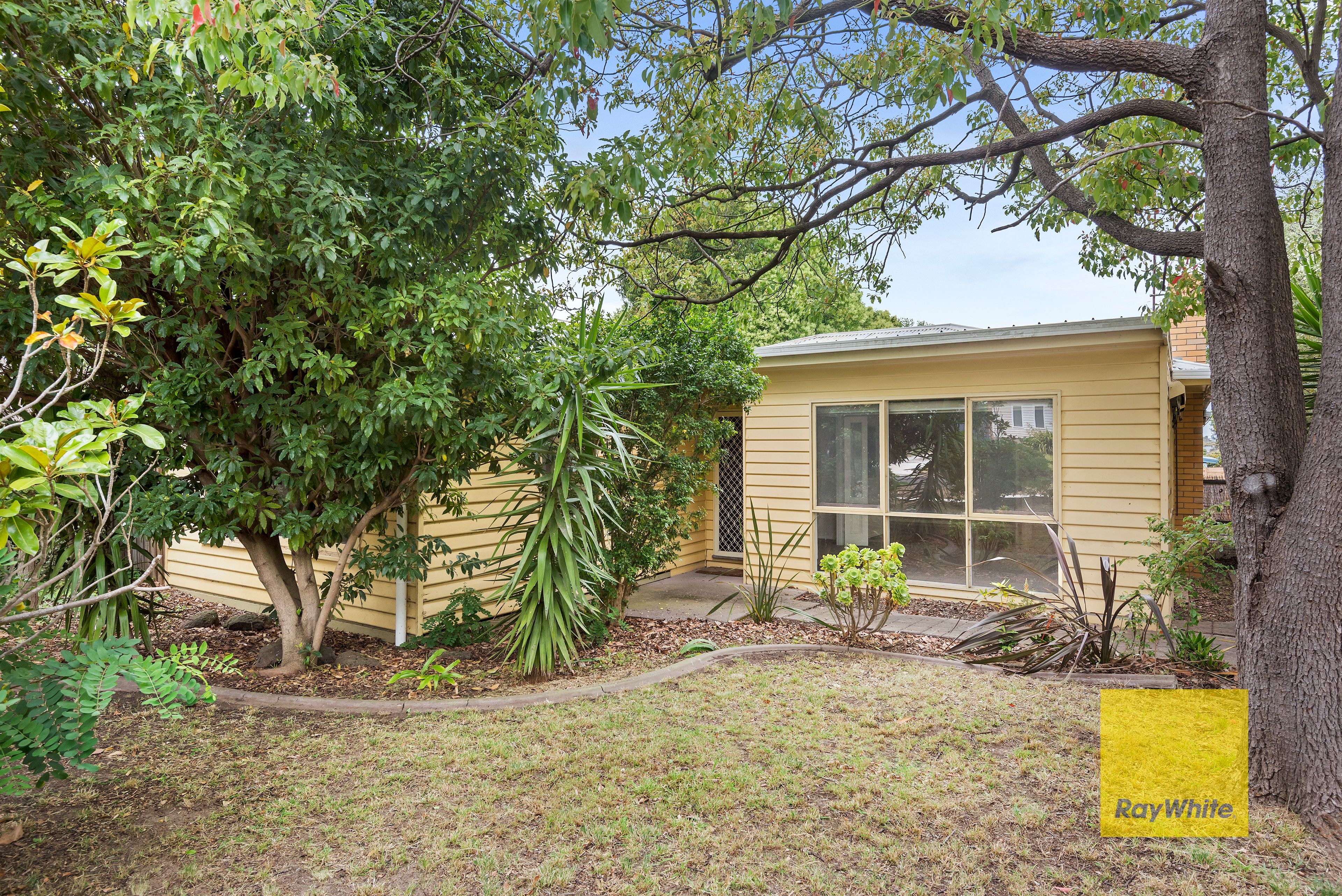 17 Cambra Road, Belmont, VIC 3216