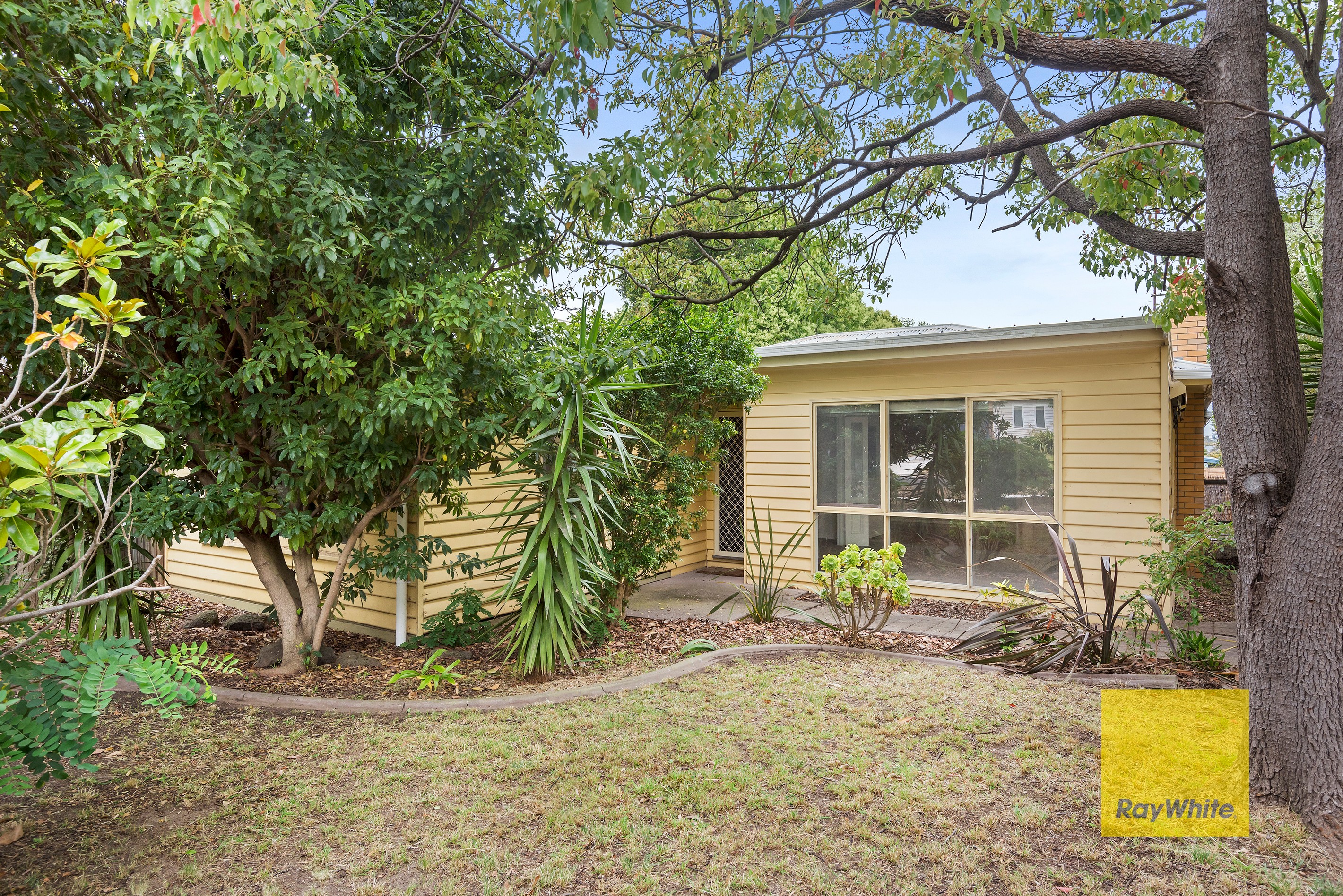 17 Cambra Road, Belmont, VIC 3216