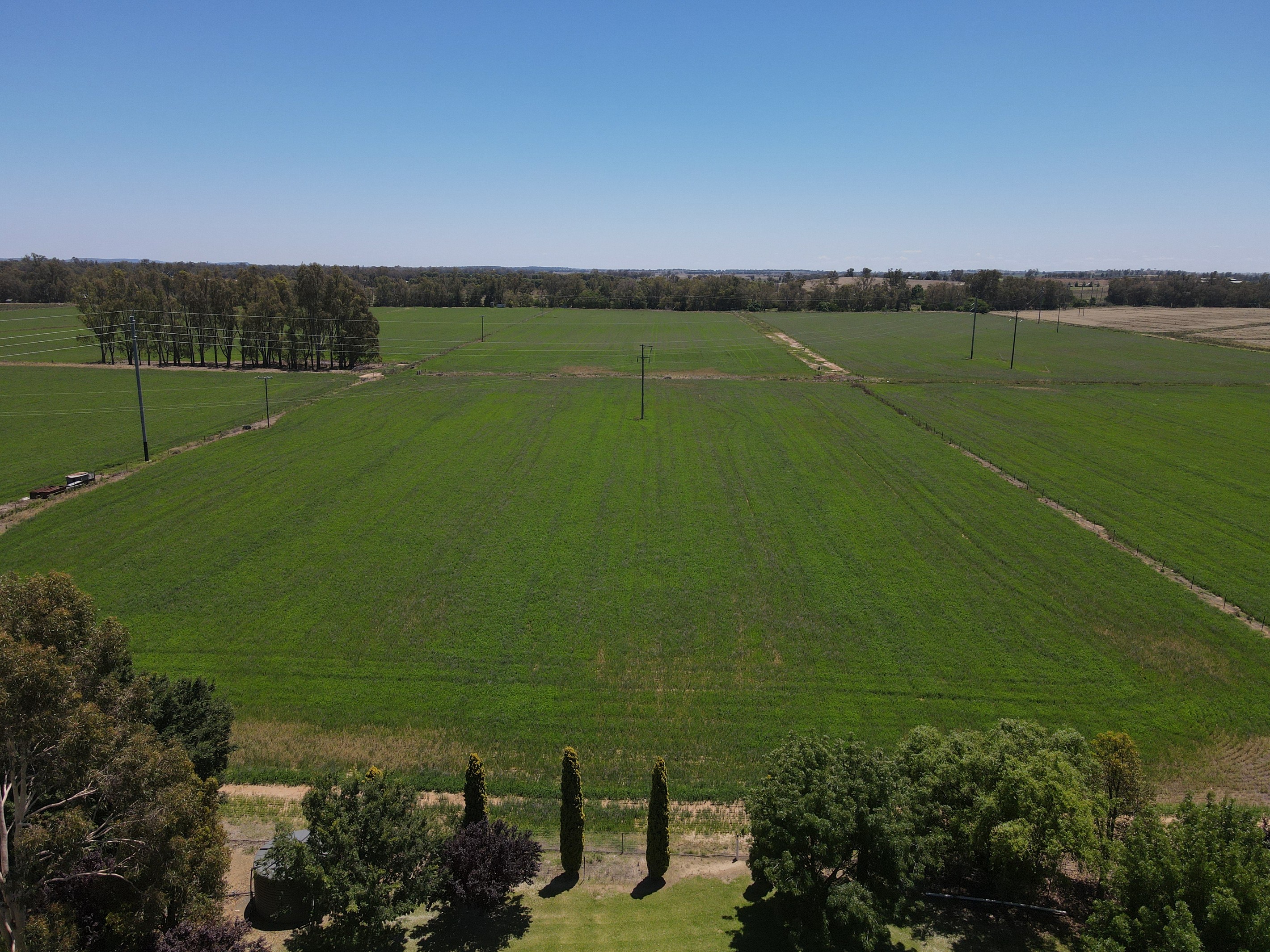 160 Lachlan Valley Way, Forbes, NSW 2871