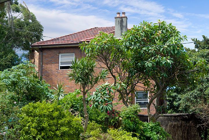 1/1 Holdsworth Street, Neutral Bay, NSW 2089