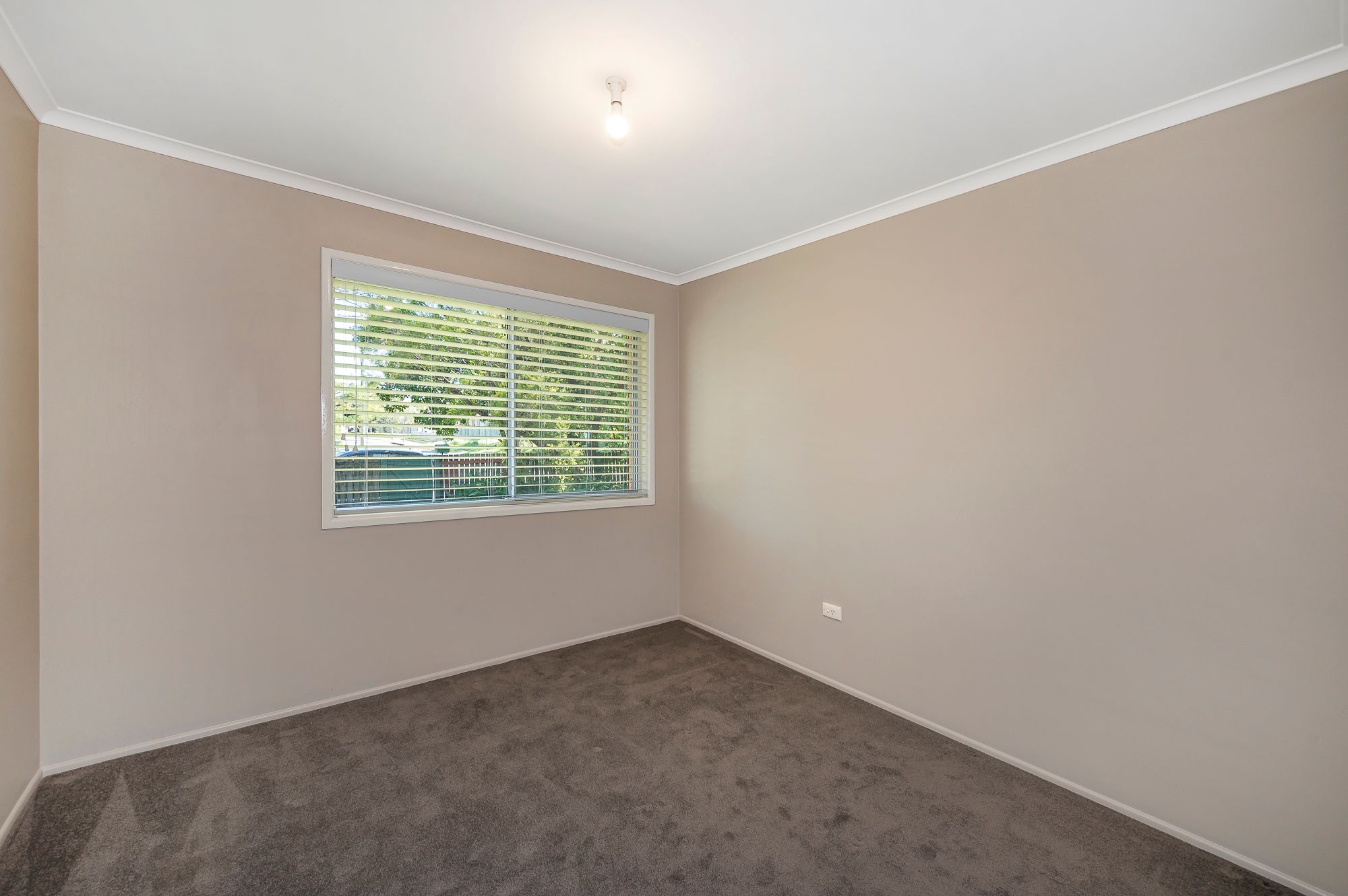 5 Anchusa Street, Kingston, QLD 4114
