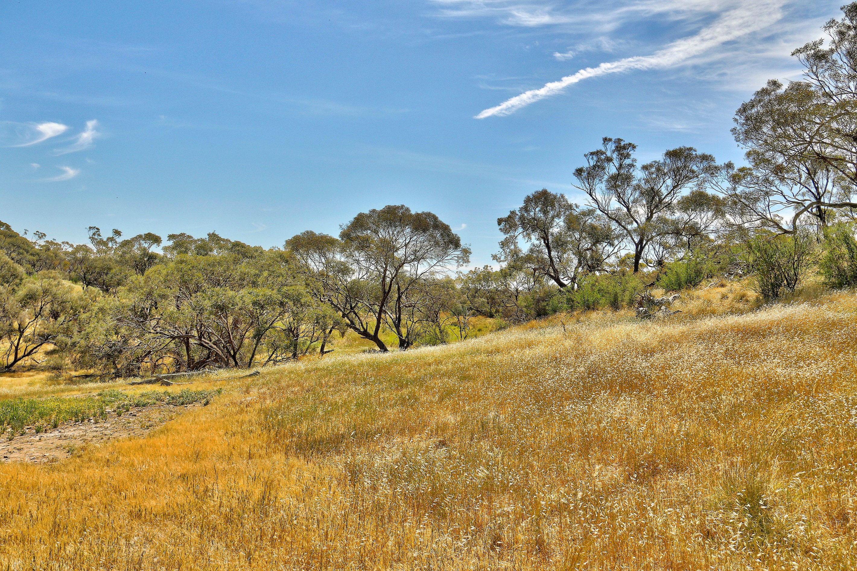 Yacka - Andrews Road, YACKA, SA 5470