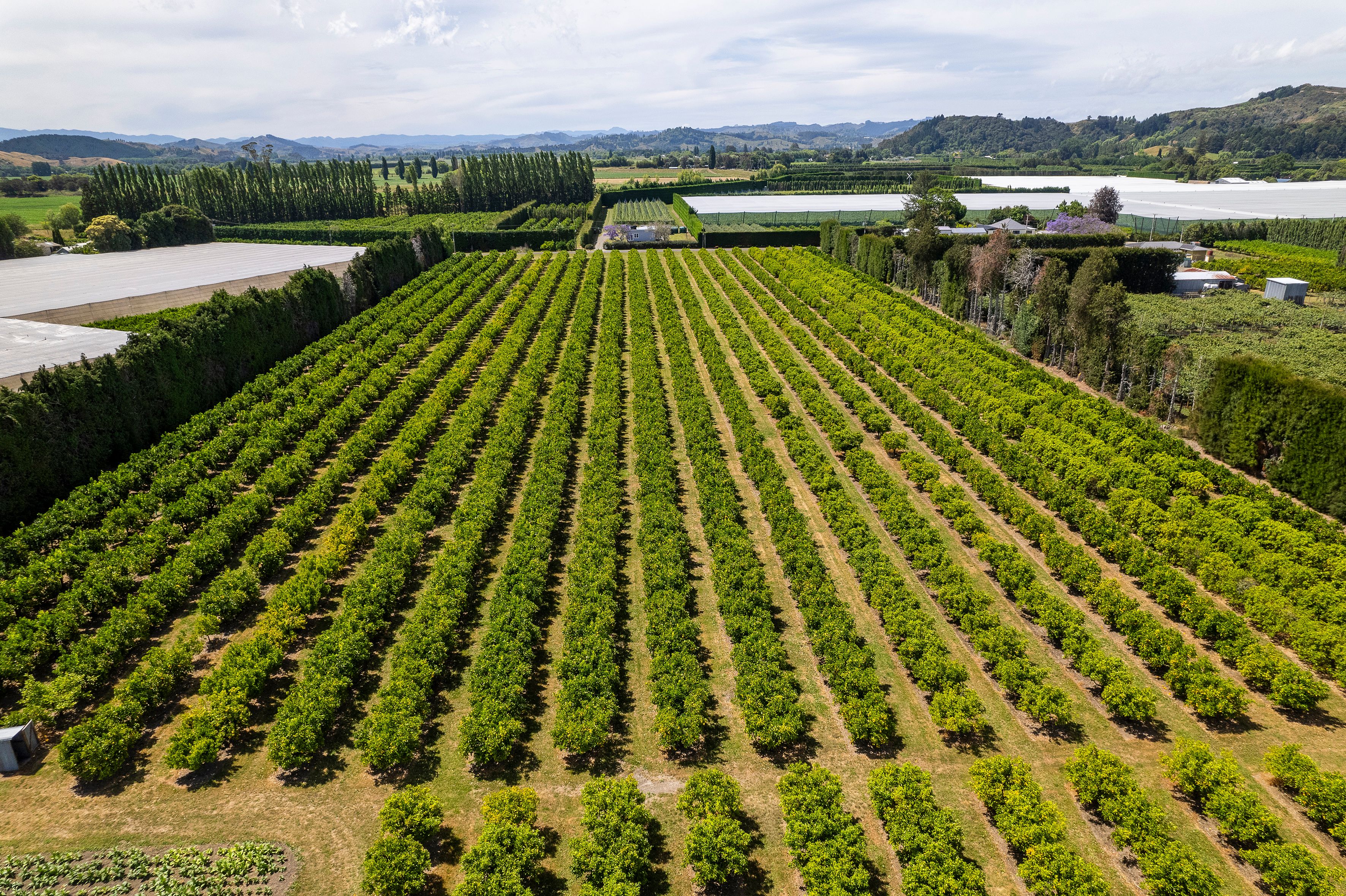 54 Bruce Road, Ormond, Gisborne District
