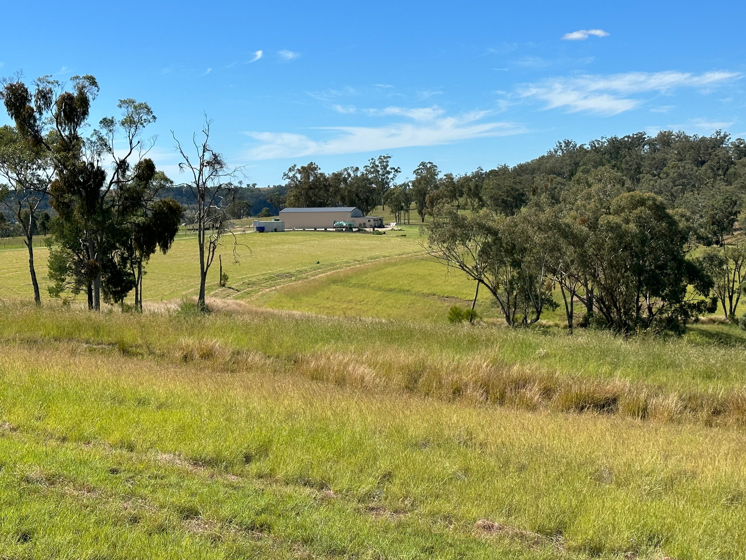 135 Burundah Drive, Warialda, NSW 2402