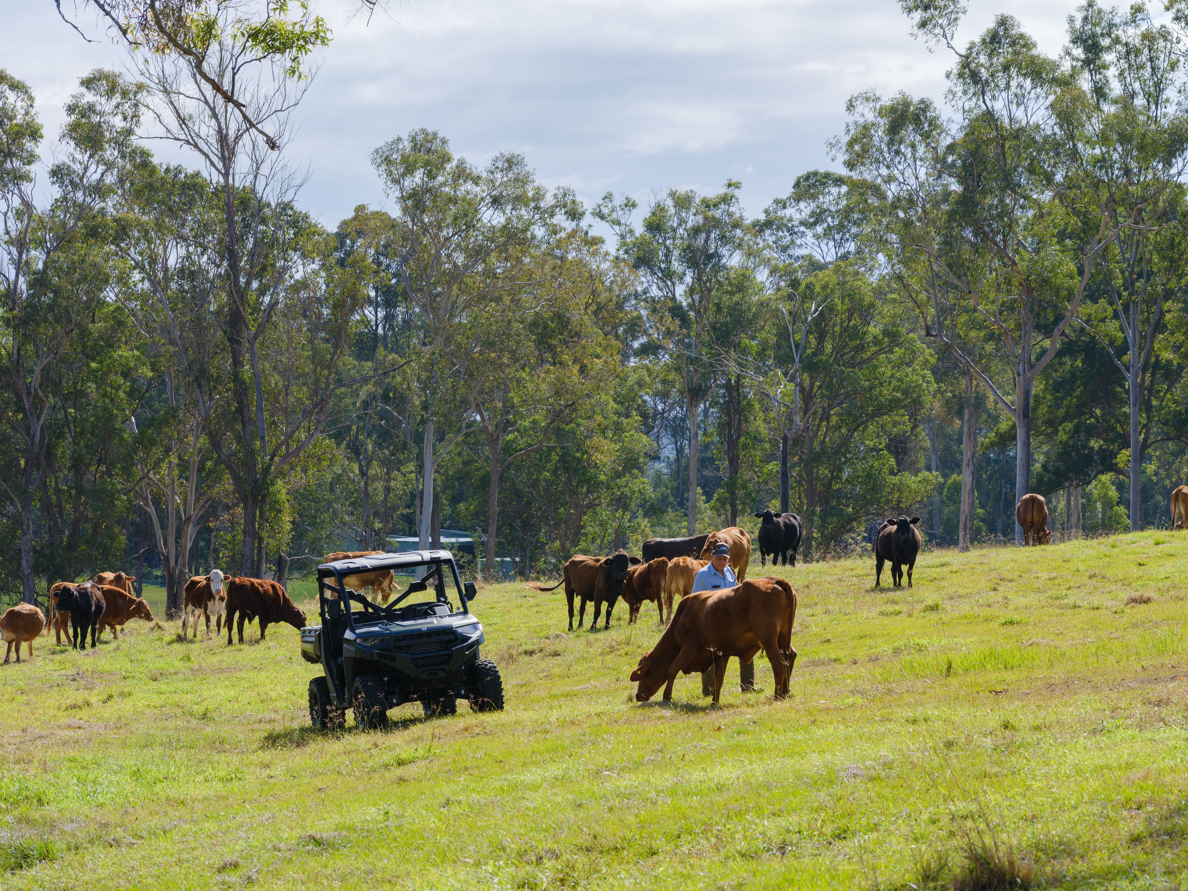 Tuchekoi, QLD 4570 — photo from Ray White Rural Eumundi